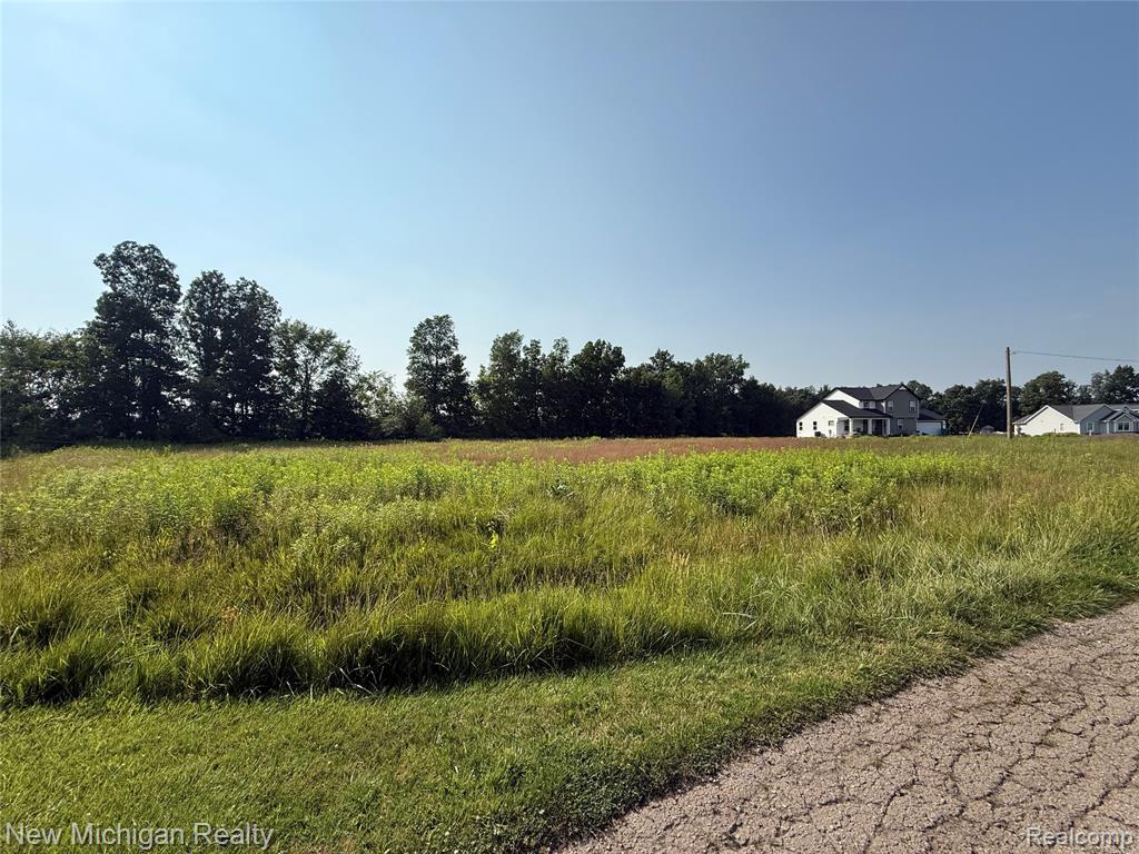 9807 Oak Ridge Road New Lothrop, MI 48460 - Photo 3 of 10