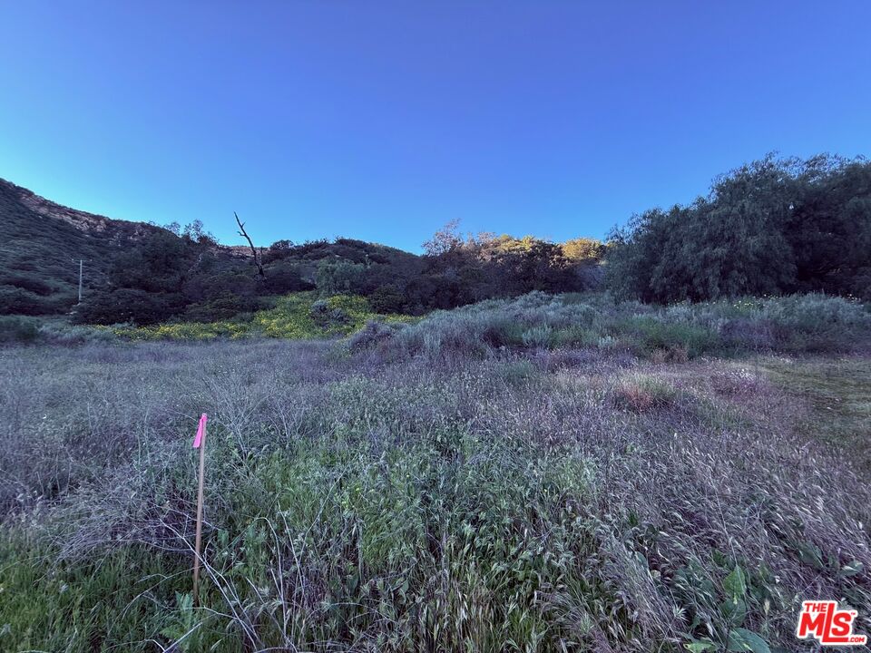 a view of a dry field