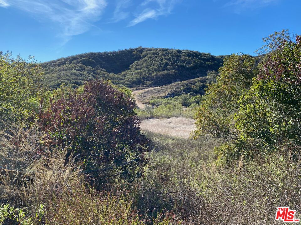 23629 Zuniga Road Topanga, CA 90290 - Photo 7 of 14