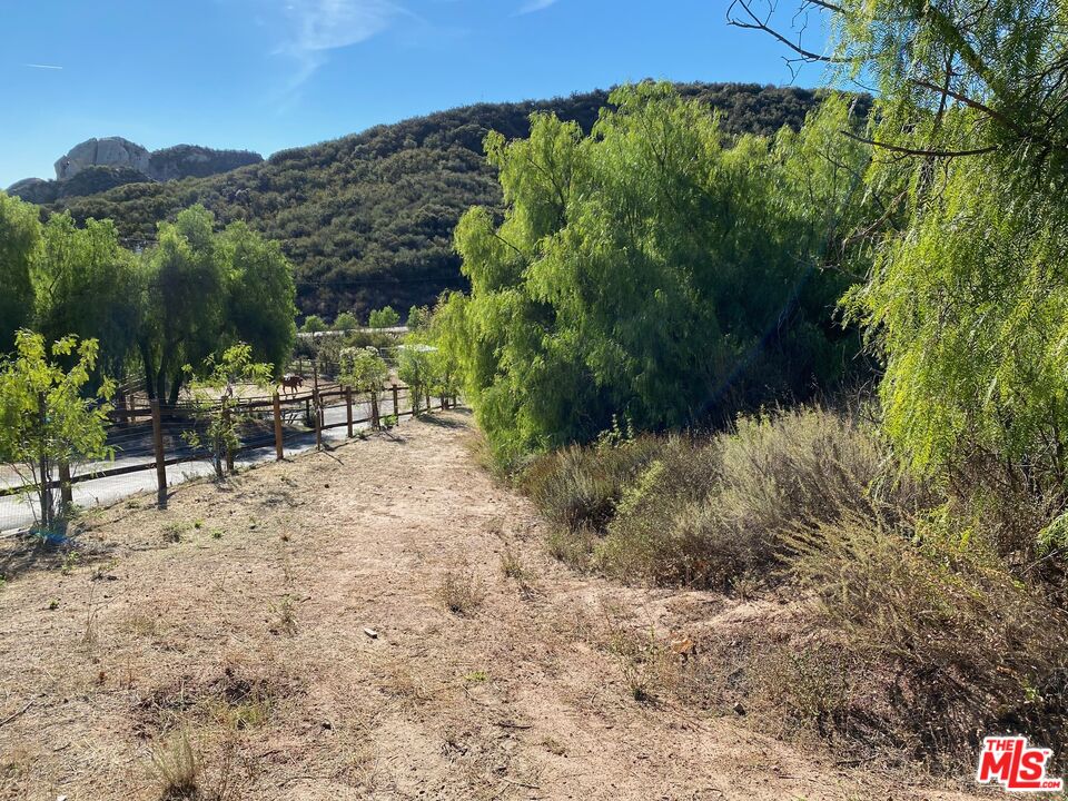 23629 Zuniga Road Topanga, CA 90290 - Photo 8 of 14
