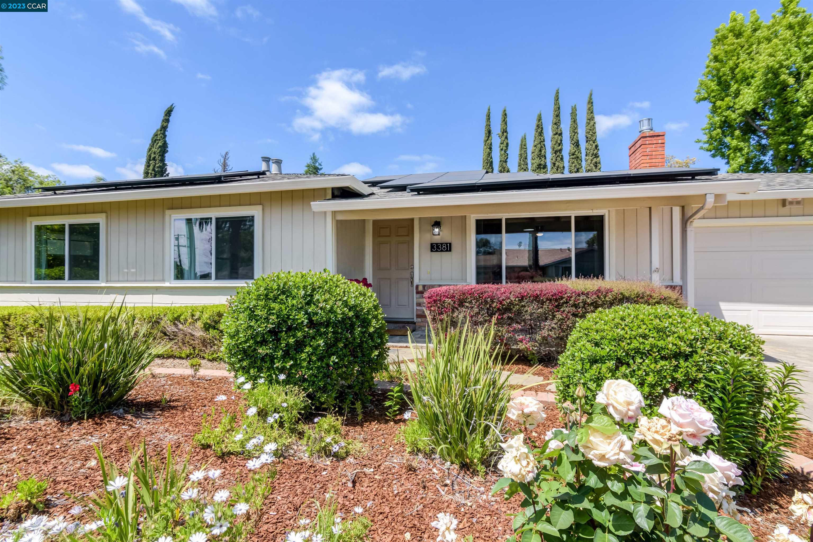 a view of a house with potted plants and a large tree