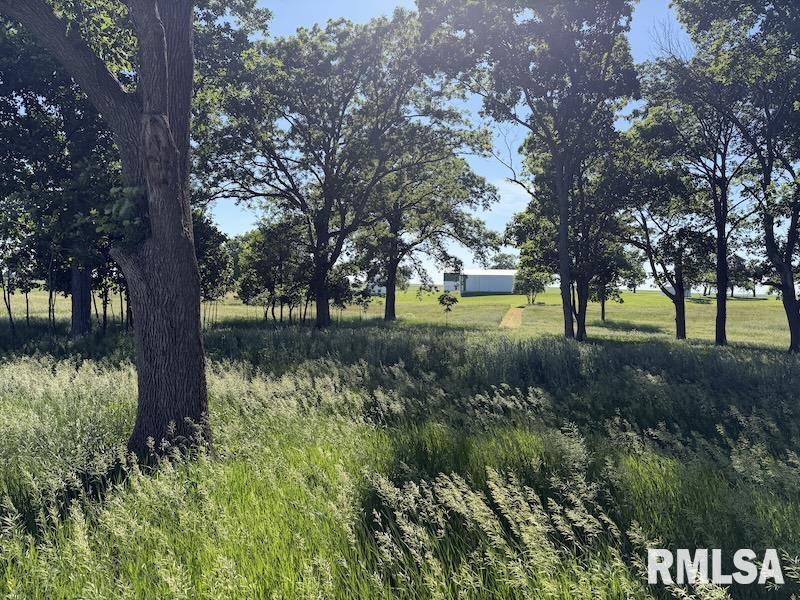 596 East 2250th Road Westfield, IL 62474 - Photo 23 of 61