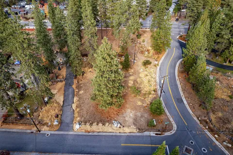 a view of a yard from a window