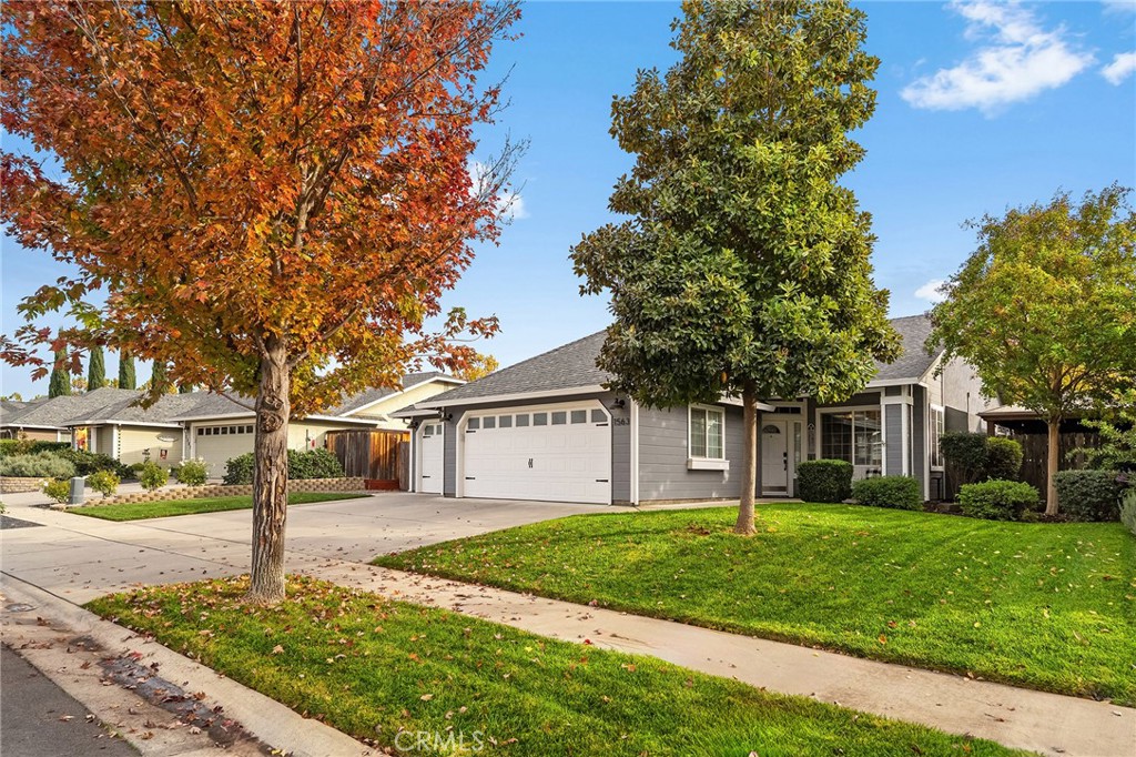 1563 Champlain Way Chico, CA 95973 - Photo 9 of 49 a front view of a house with a yard and tree