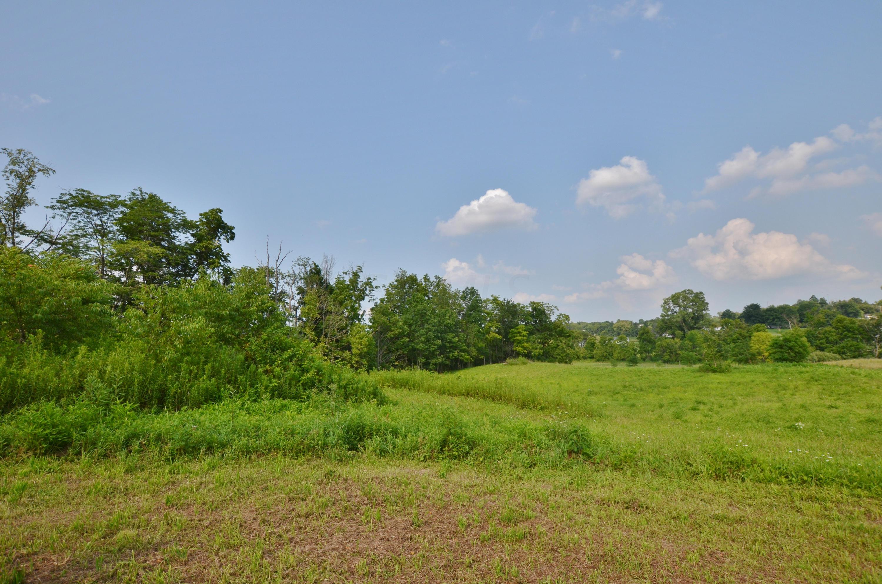 0 Poplar Fork Road Mount Perry, OH 43760 - Photo 1 of 1