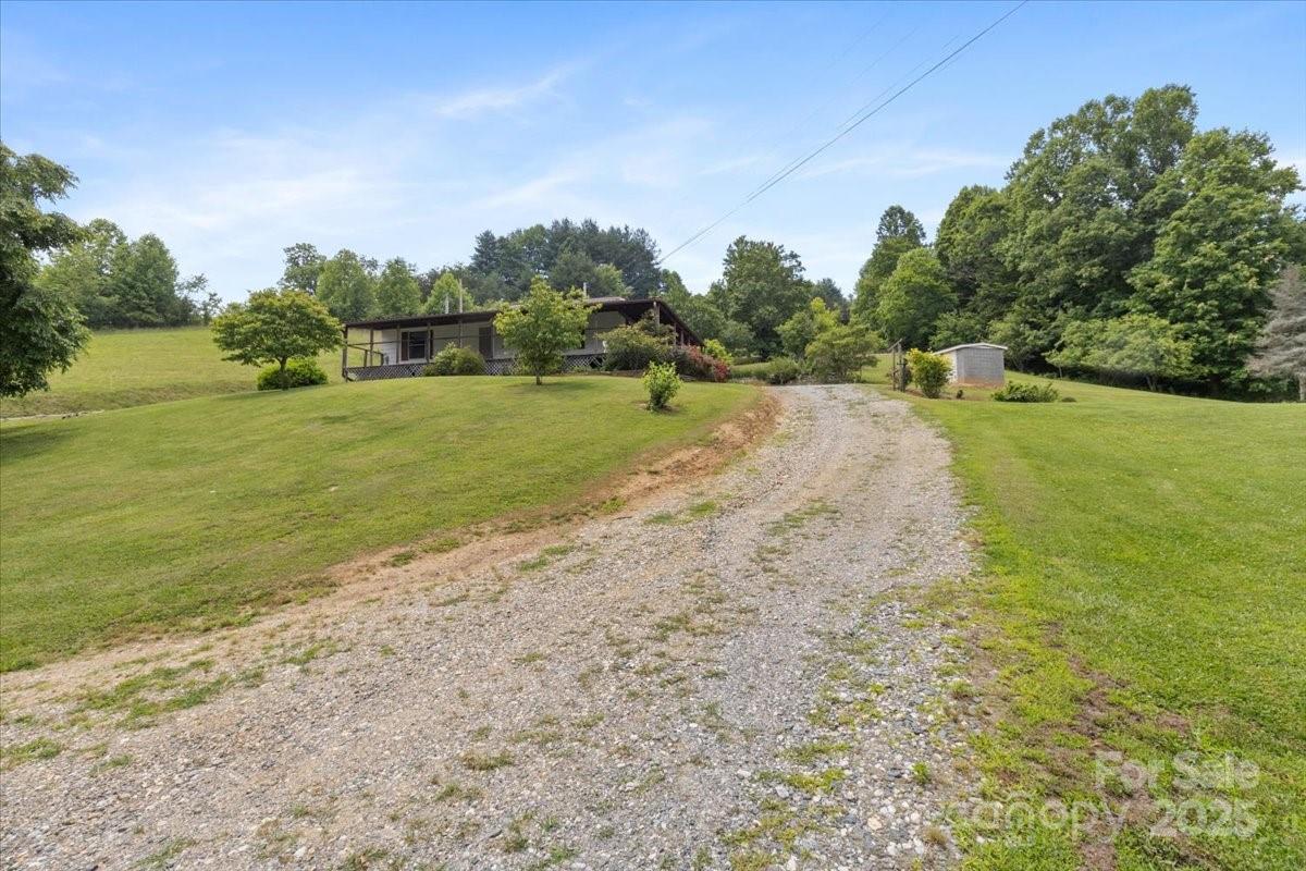 461 Tweed Road Marshall, NC 28753 - Photo 12 of 29 a view of a field with an trees