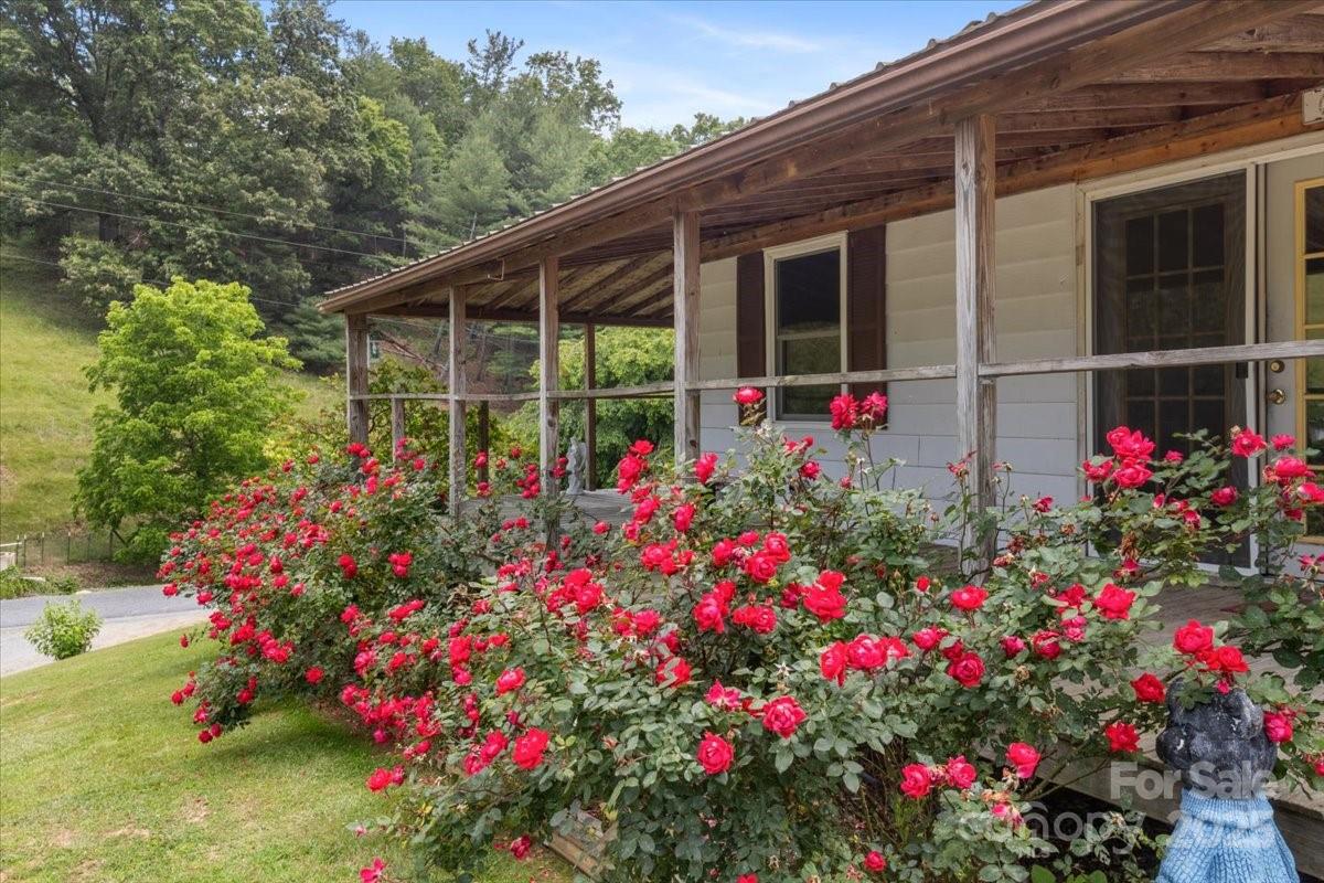 461 Tweed Road Marshall, NC 28753 - Photo 29 of 29 a view of a potted flower in a yard
