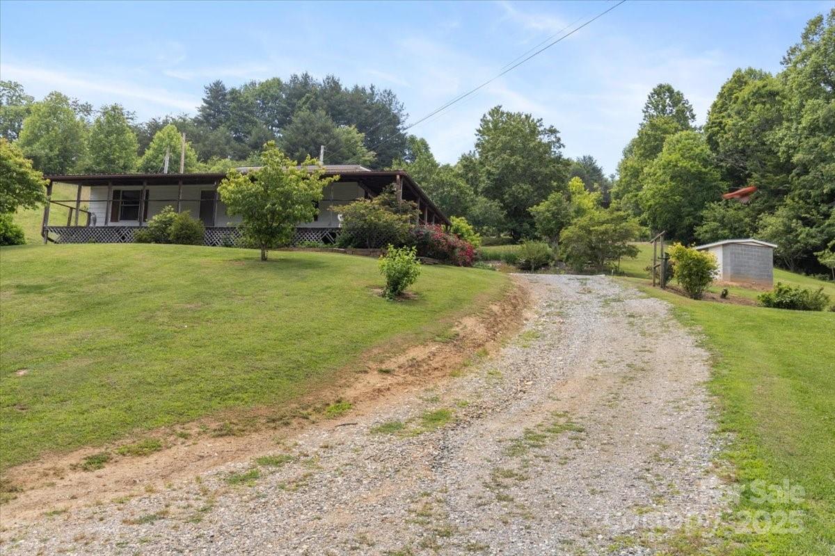 461 Tweed Road Marshall, NC 28753 - Photo 6 of 29 a backyard of a house with lots of green space
