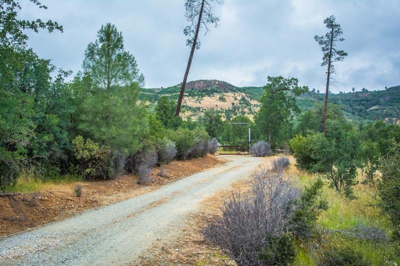 31625 Grindley Ranch Road Whitmore, CA 96096 - Photo 3 of 58 grindley-101