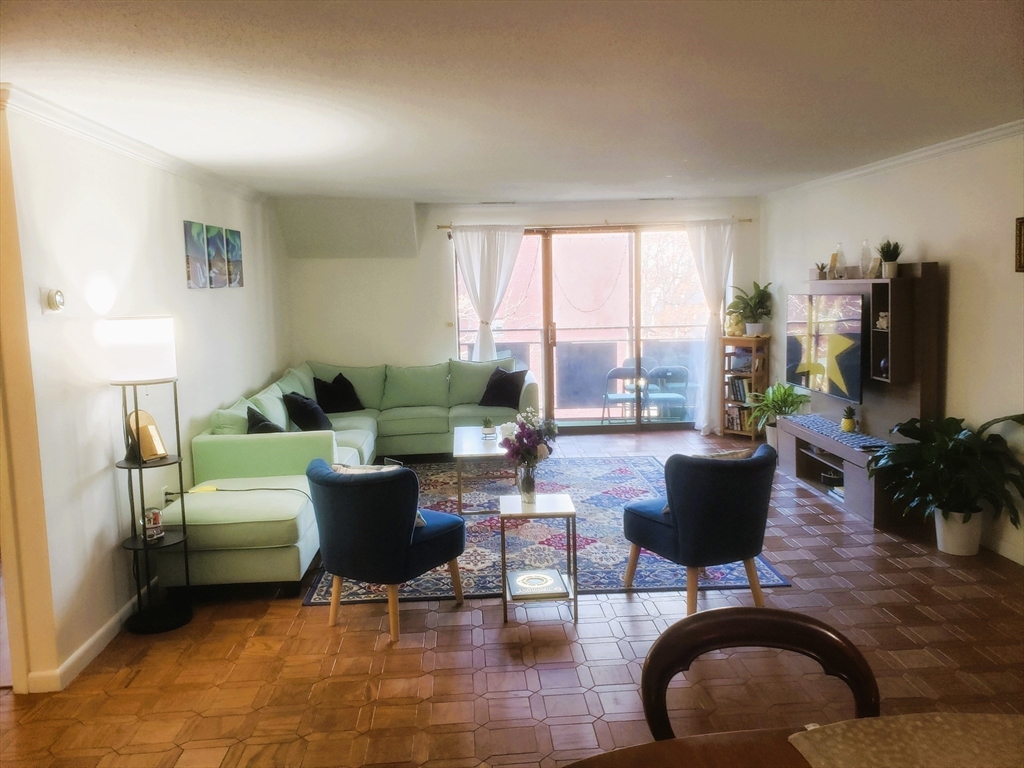 12 9th Street, Unit 502 Medford, MA 02155 - Photo 1 of 1 a living room with furniture potted plant and a large window