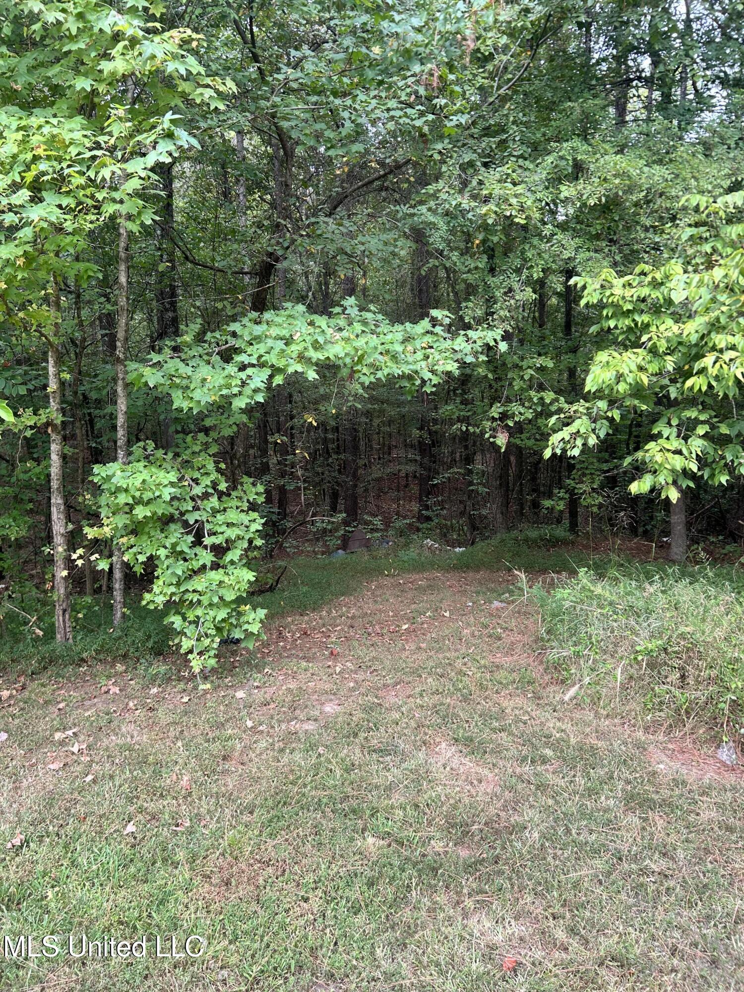 182 Chulahoma Road Holly Springs, MS 38635 - Photo 28 of 29 Back yard