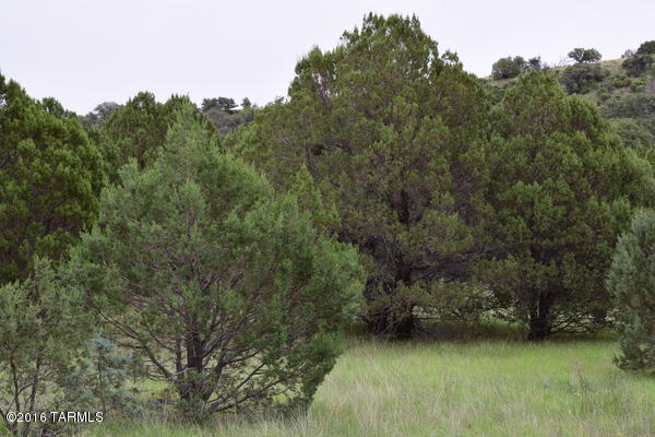Umpire Ranch Road Elgin, AZ 85611 - Photo 22 of 27