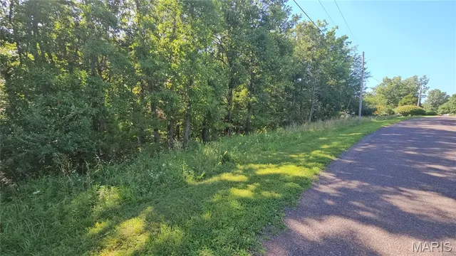 $9,000 | 2437 Doe Run, Lake Sherwood, MO 63357