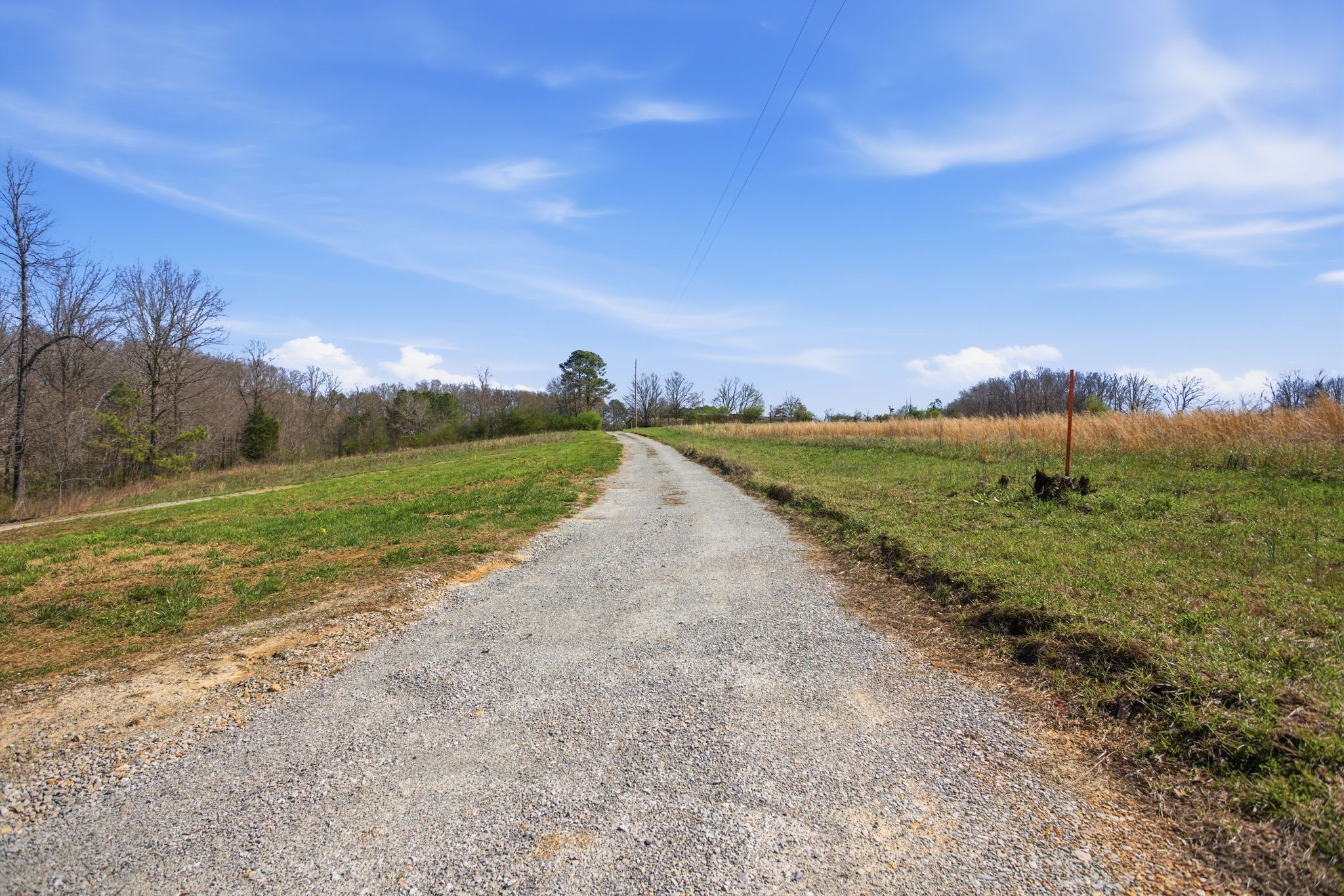 181 Ramah Road Leoma, TN 38468 - Photo 48 of 98