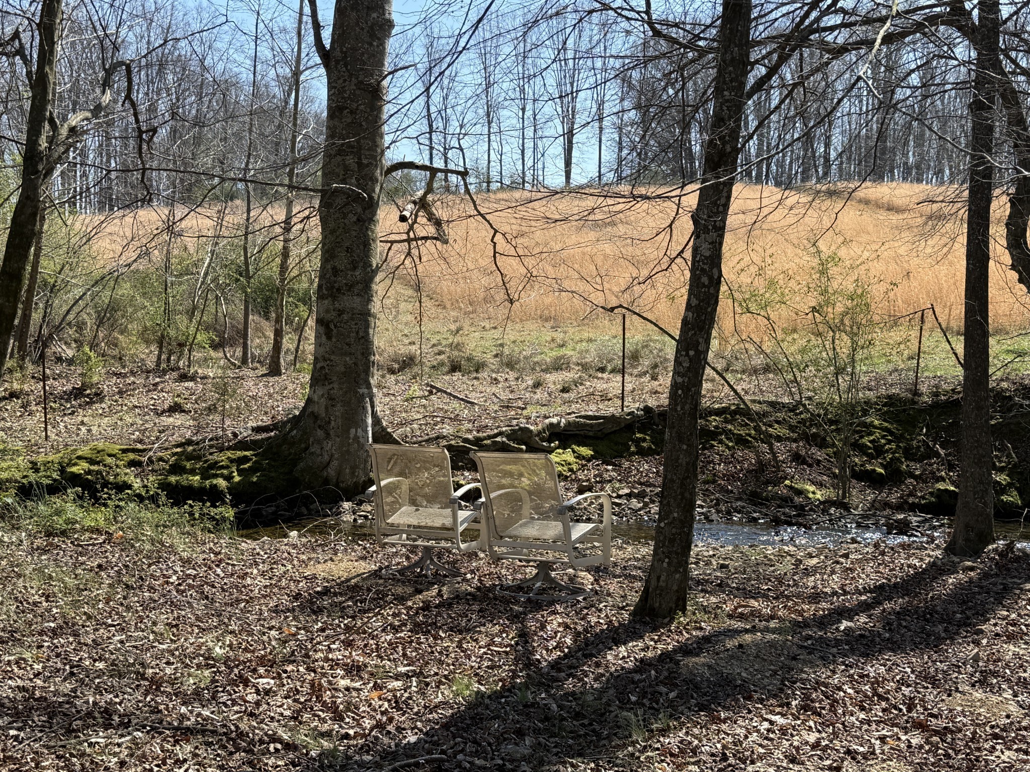 181 Ramah Road Leoma, TN 38468 - Photo 50 of 98