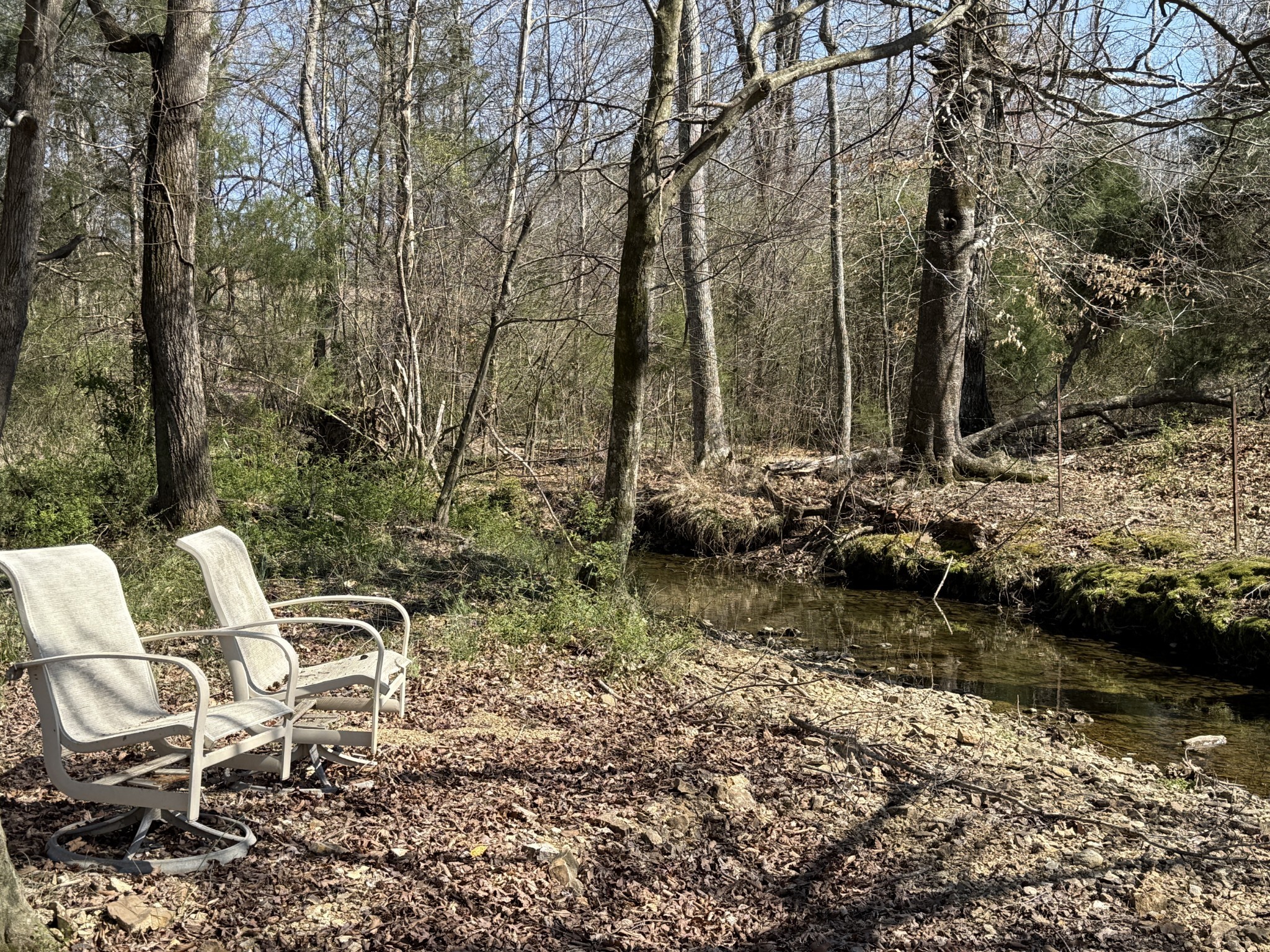 181 Ramah Road Leoma, TN 38468 - Photo 51 of 98