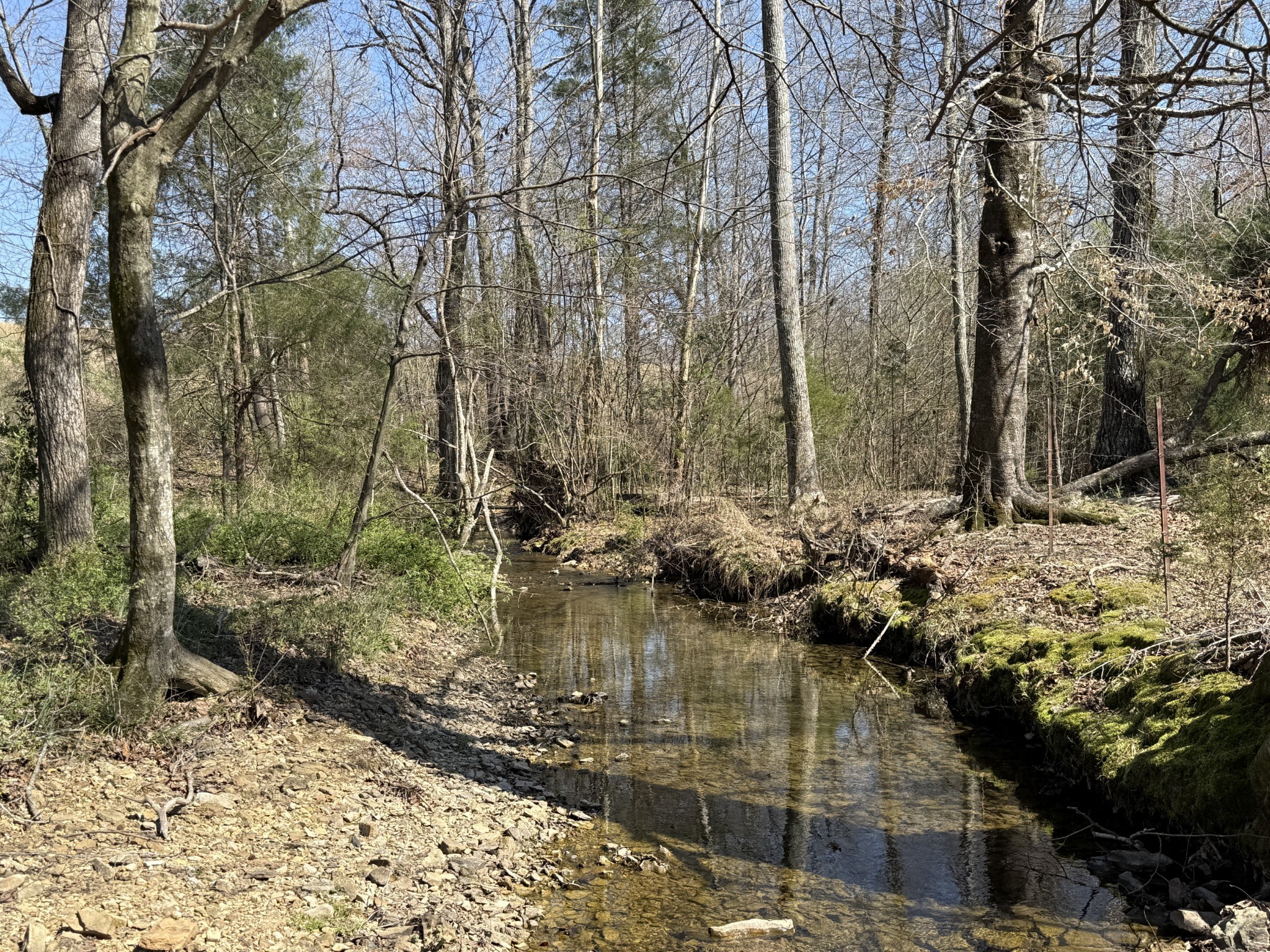 181 Ramah Road Leoma, TN 38468 - Photo 52 of 98