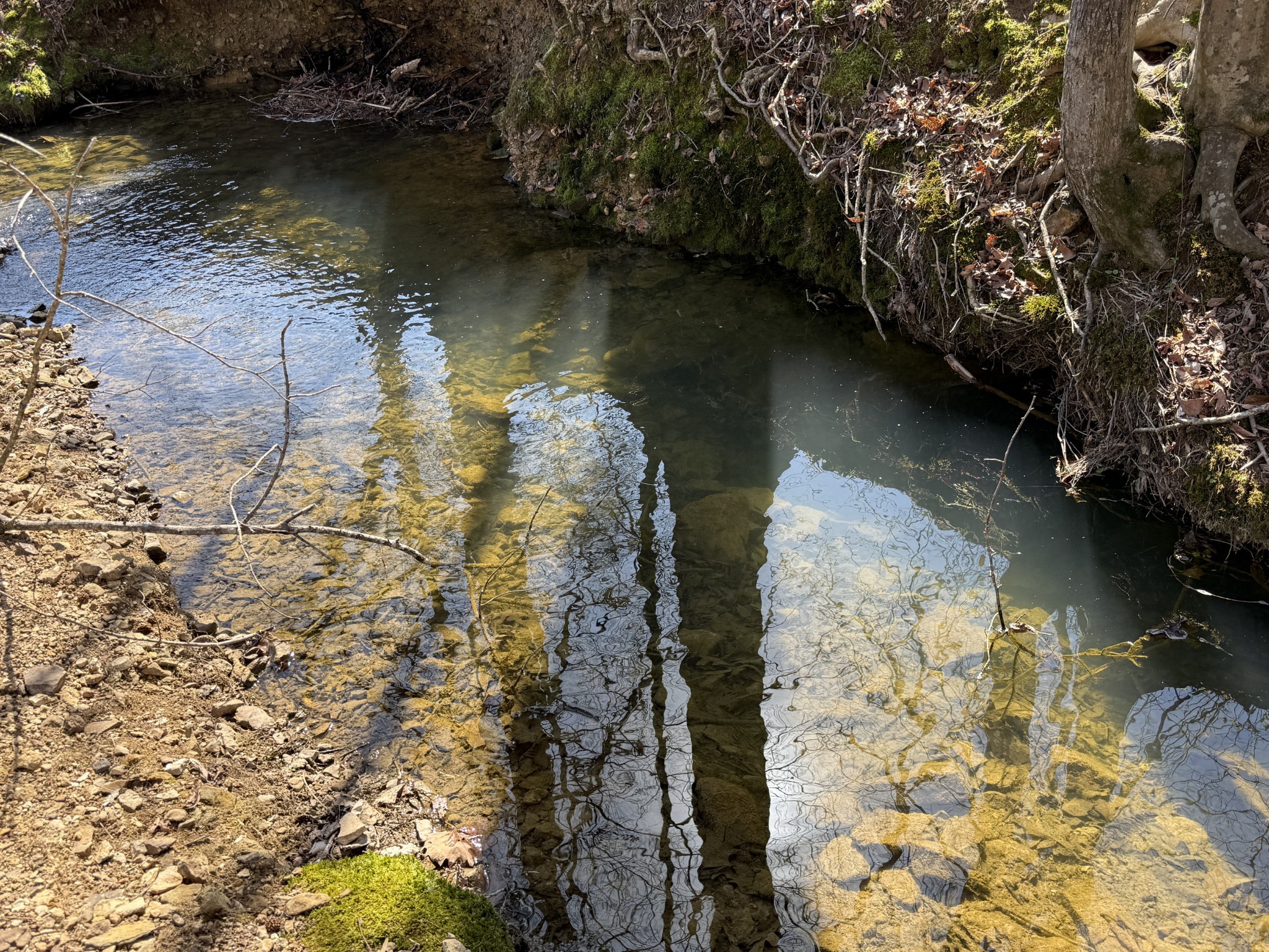 181 Ramah Road Leoma, TN 38468 - Photo 53 of 98