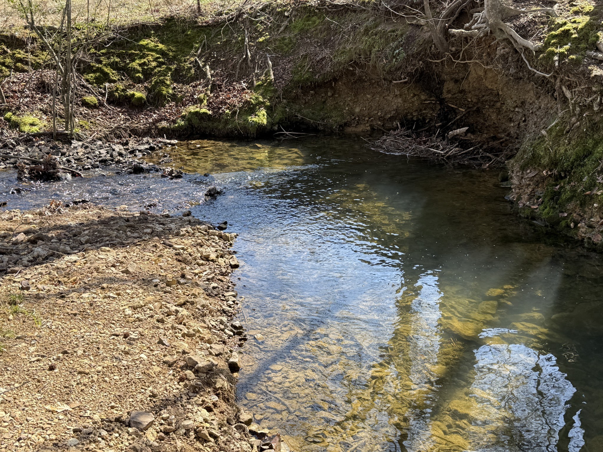 181 Ramah Road Leoma, TN 38468 - Photo 54 of 98