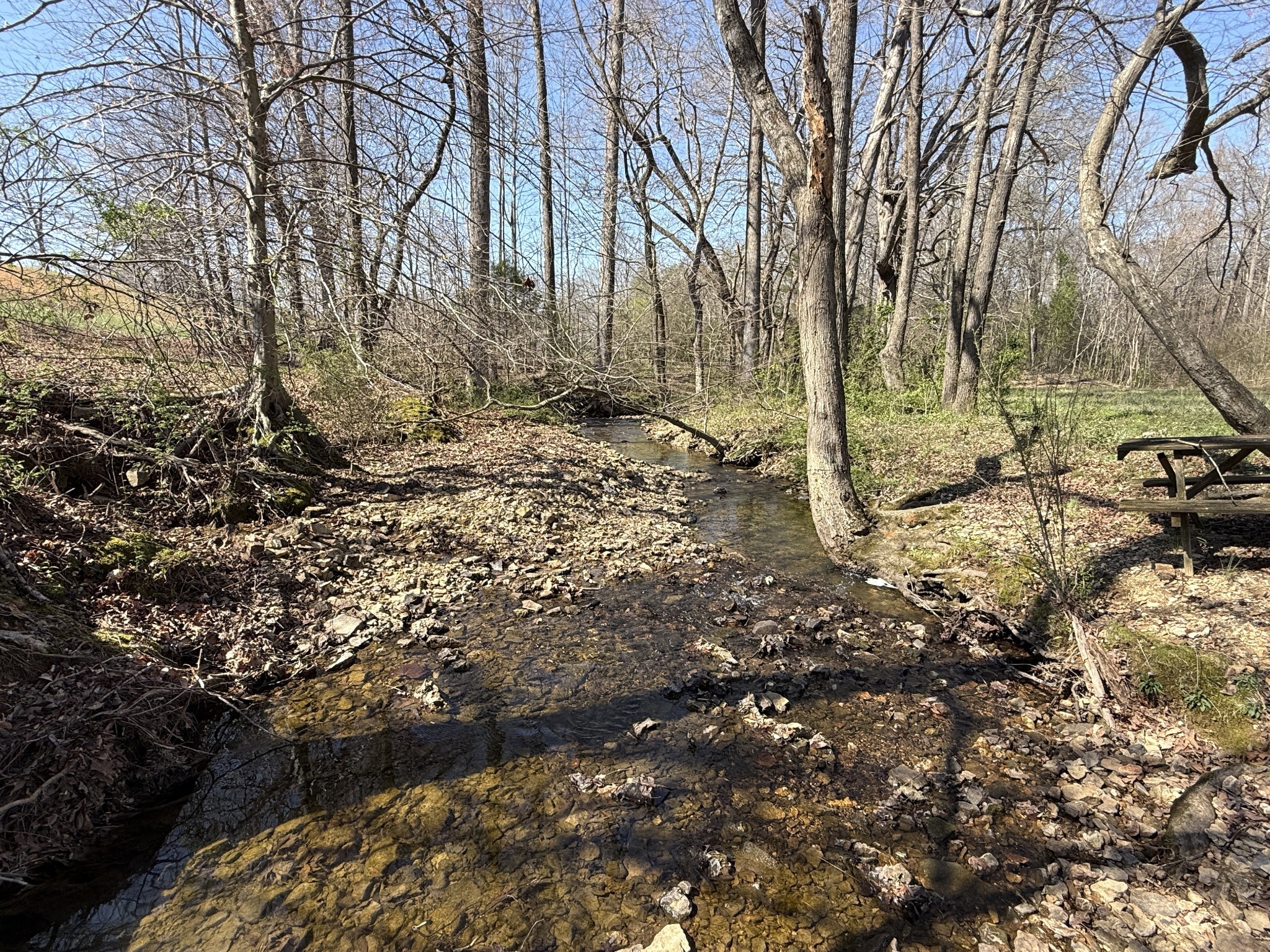 181 Ramah Road Leoma, TN 38468 - Photo 55 of 98