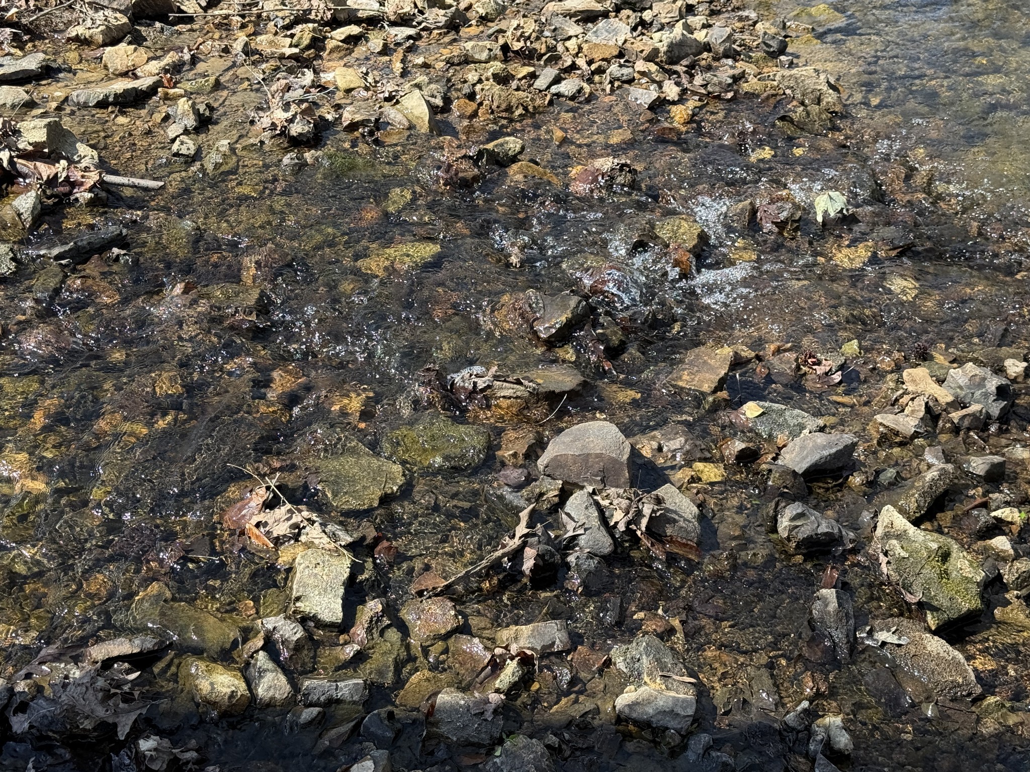 181 Ramah Road Leoma, TN 38468 - Photo 56 of 98