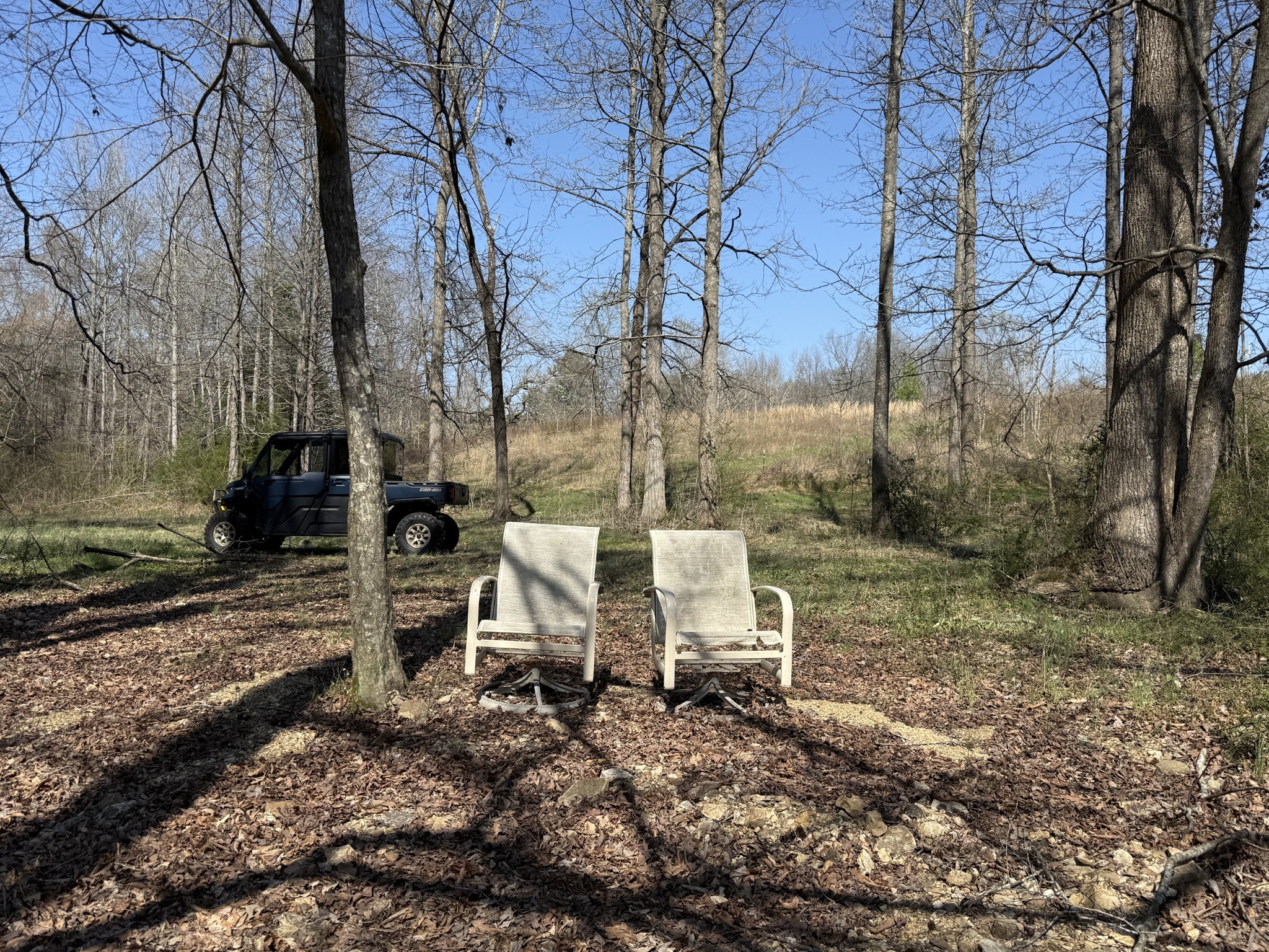 181 Ramah Road Leoma, TN 38468 - Photo 57 of 98