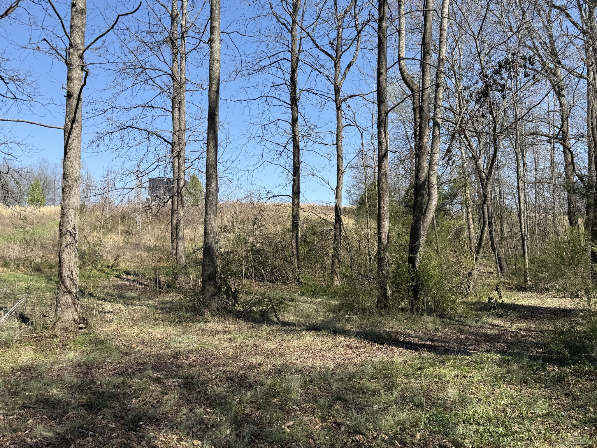 181 Ramah Road Leoma, TN 38468 - Photo 58 of 98