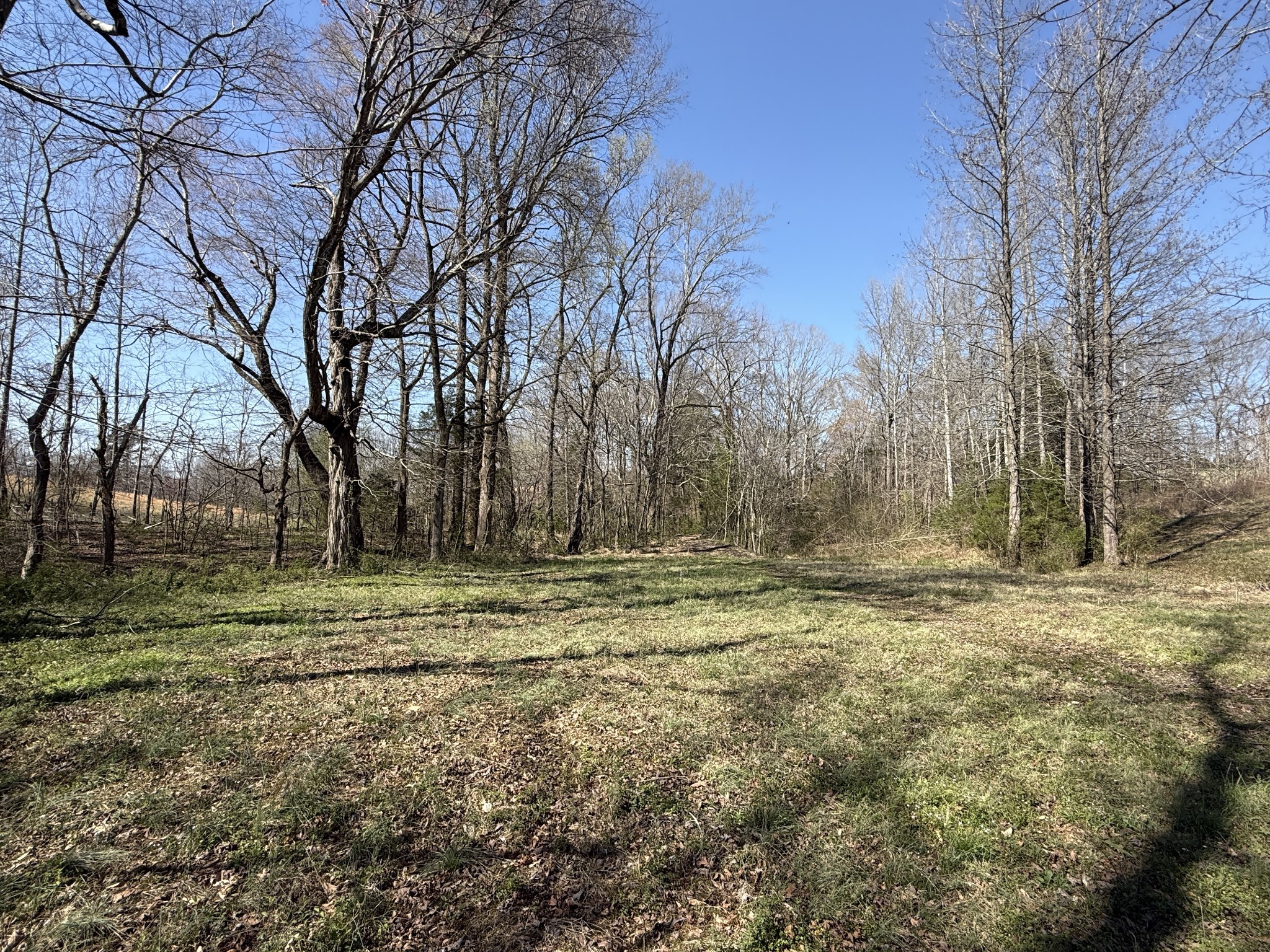 181 Ramah Road Leoma, TN 38468 - Photo 59 of 98