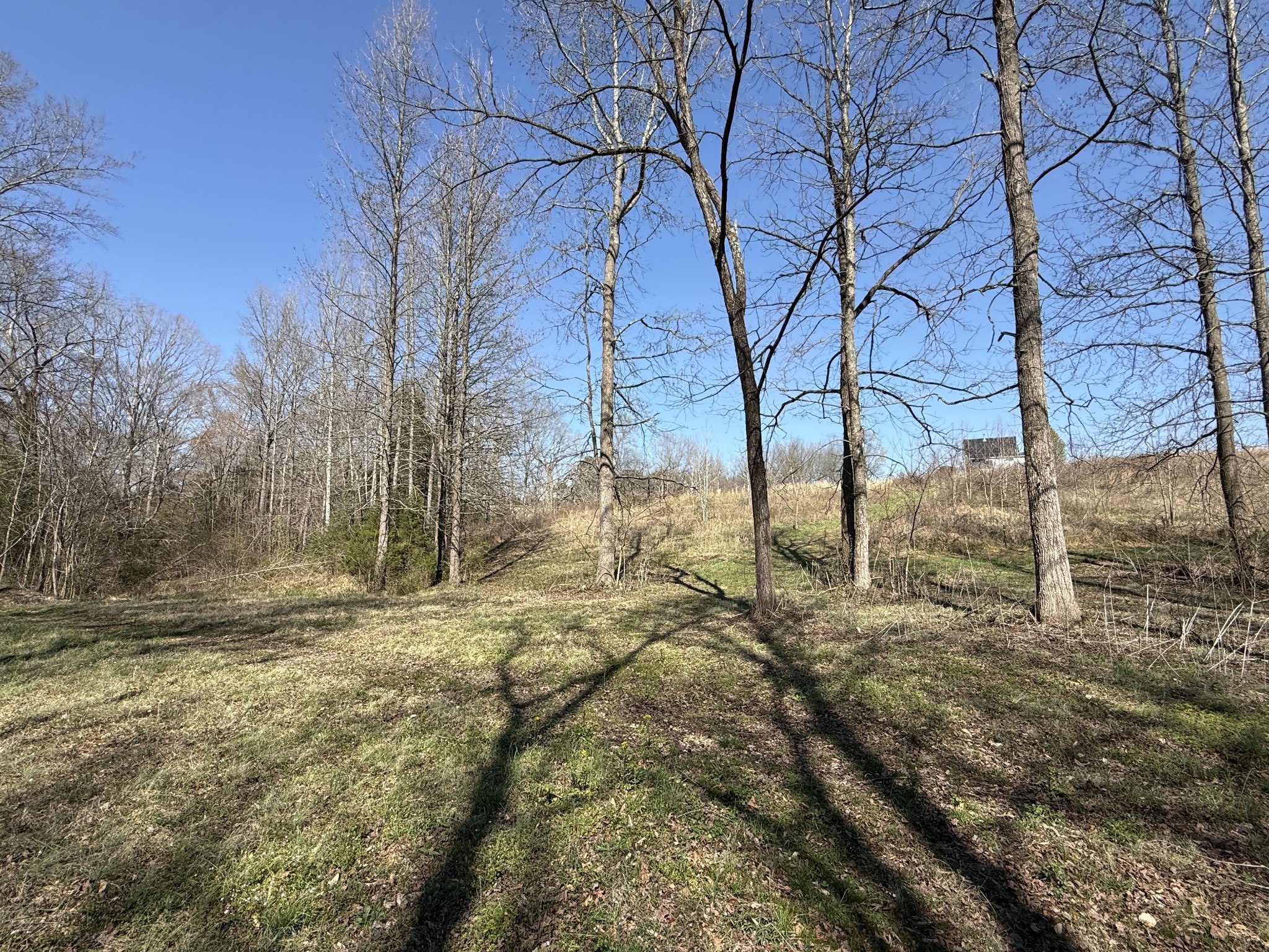 181 Ramah Road Leoma, TN 38468 - Photo 60 of 98