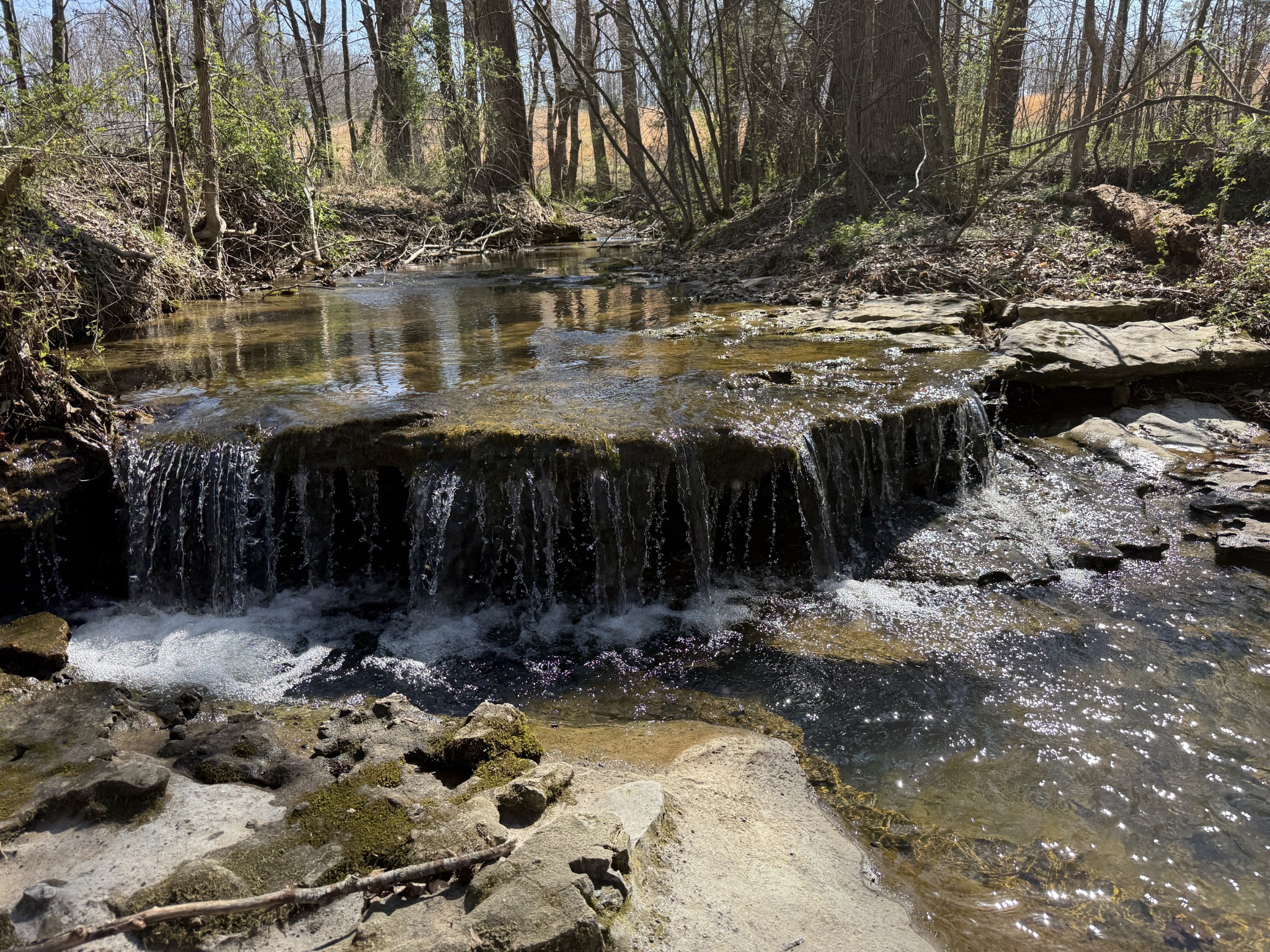 181 Ramah Road Leoma, TN 38468 - Photo 61 of 98