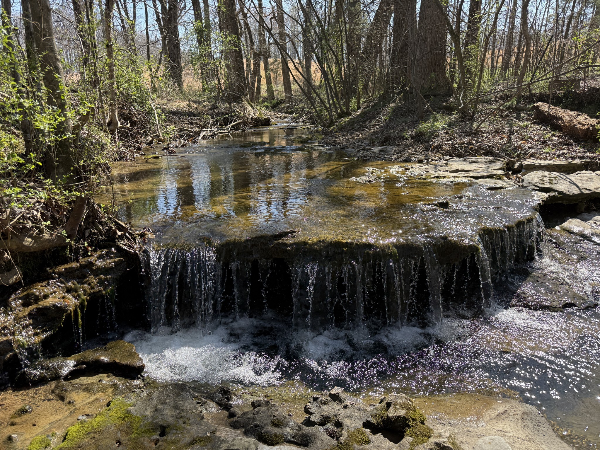 181 Ramah Road Leoma, TN 38468 - Photo 62 of 98