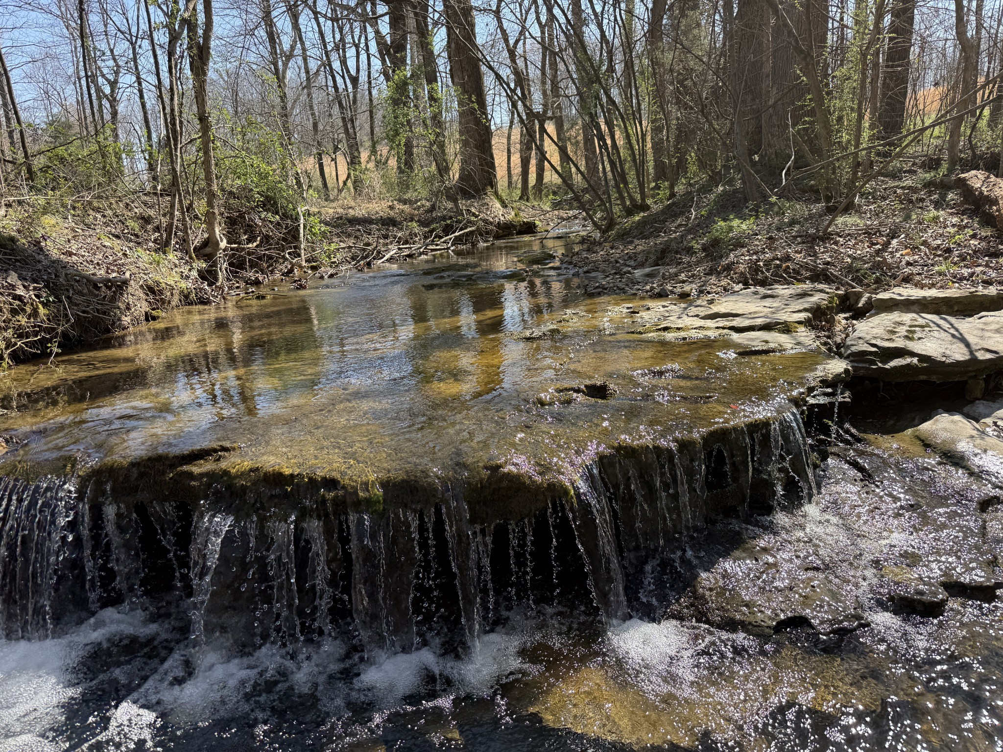 181 Ramah Road Leoma, TN 38468 - Photo 63 of 98