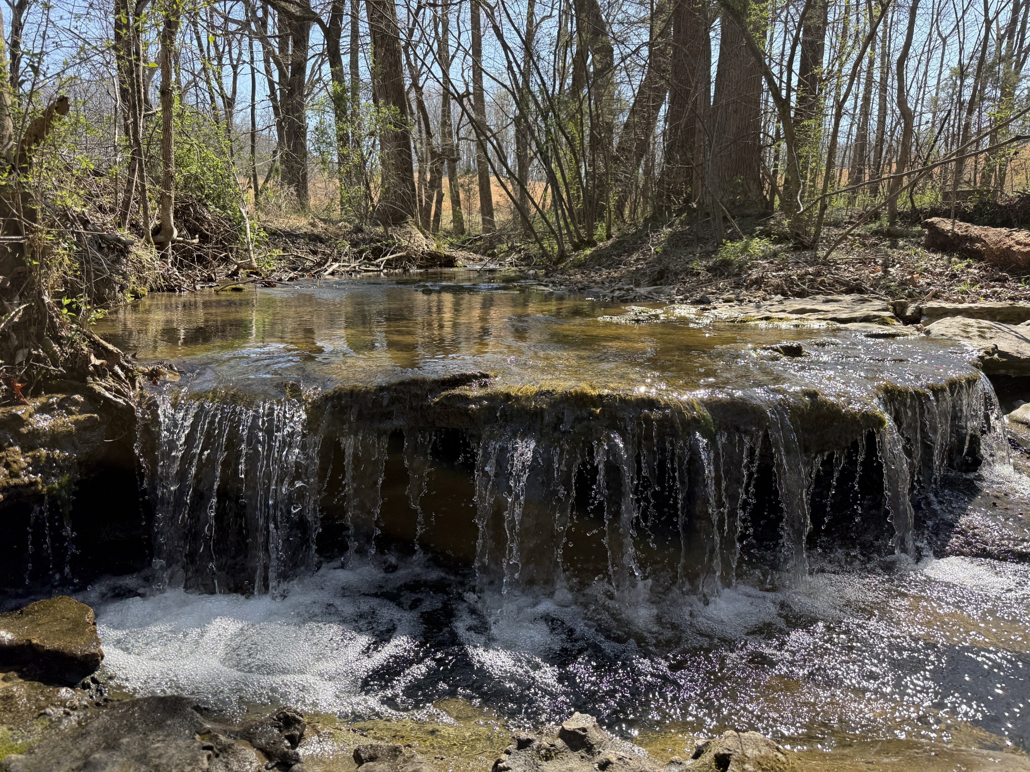 181 Ramah Road Leoma, TN 38468 - Photo 64 of 98