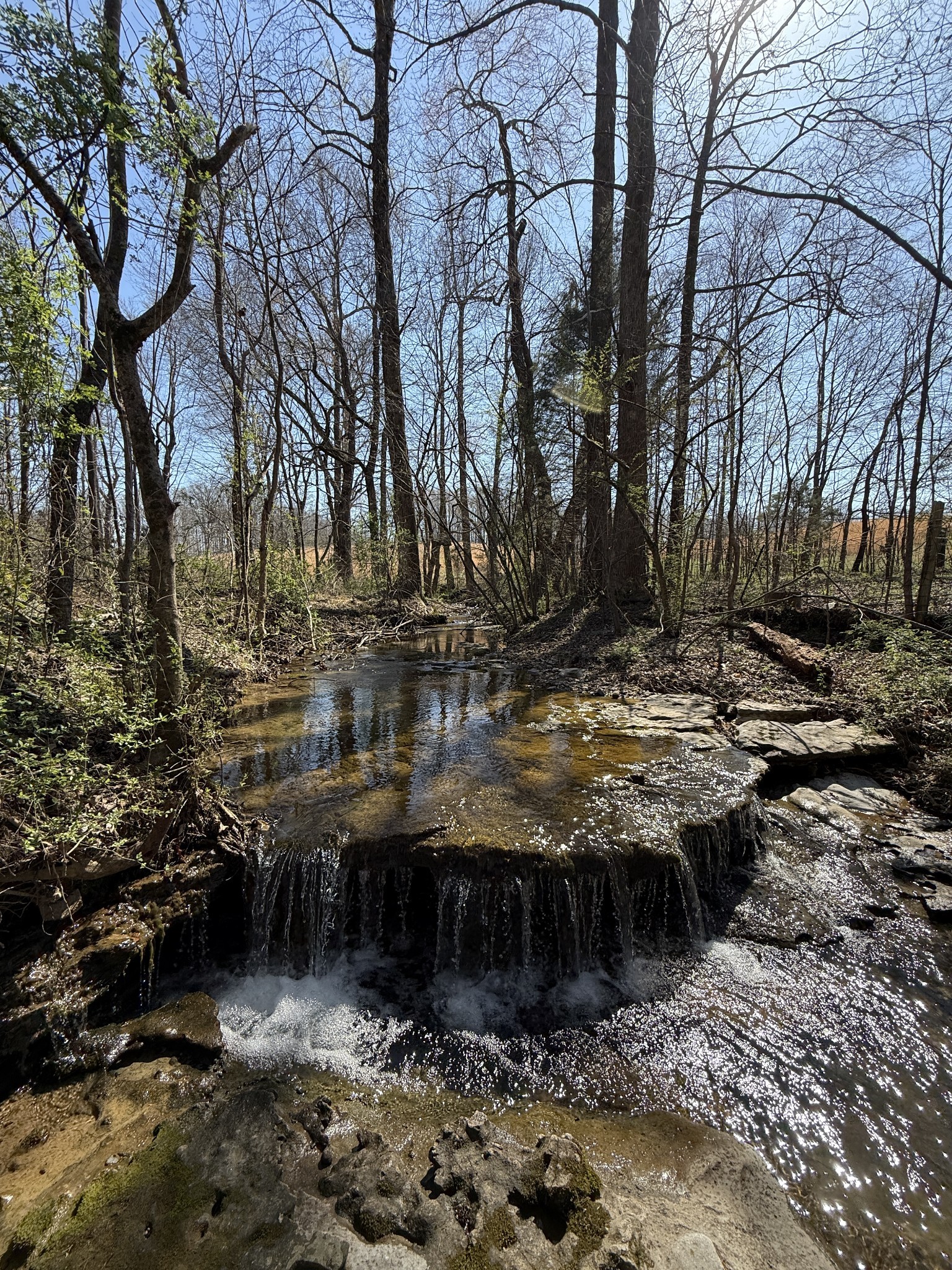 181 Ramah Road Leoma, TN 38468 - Photo 65 of 98