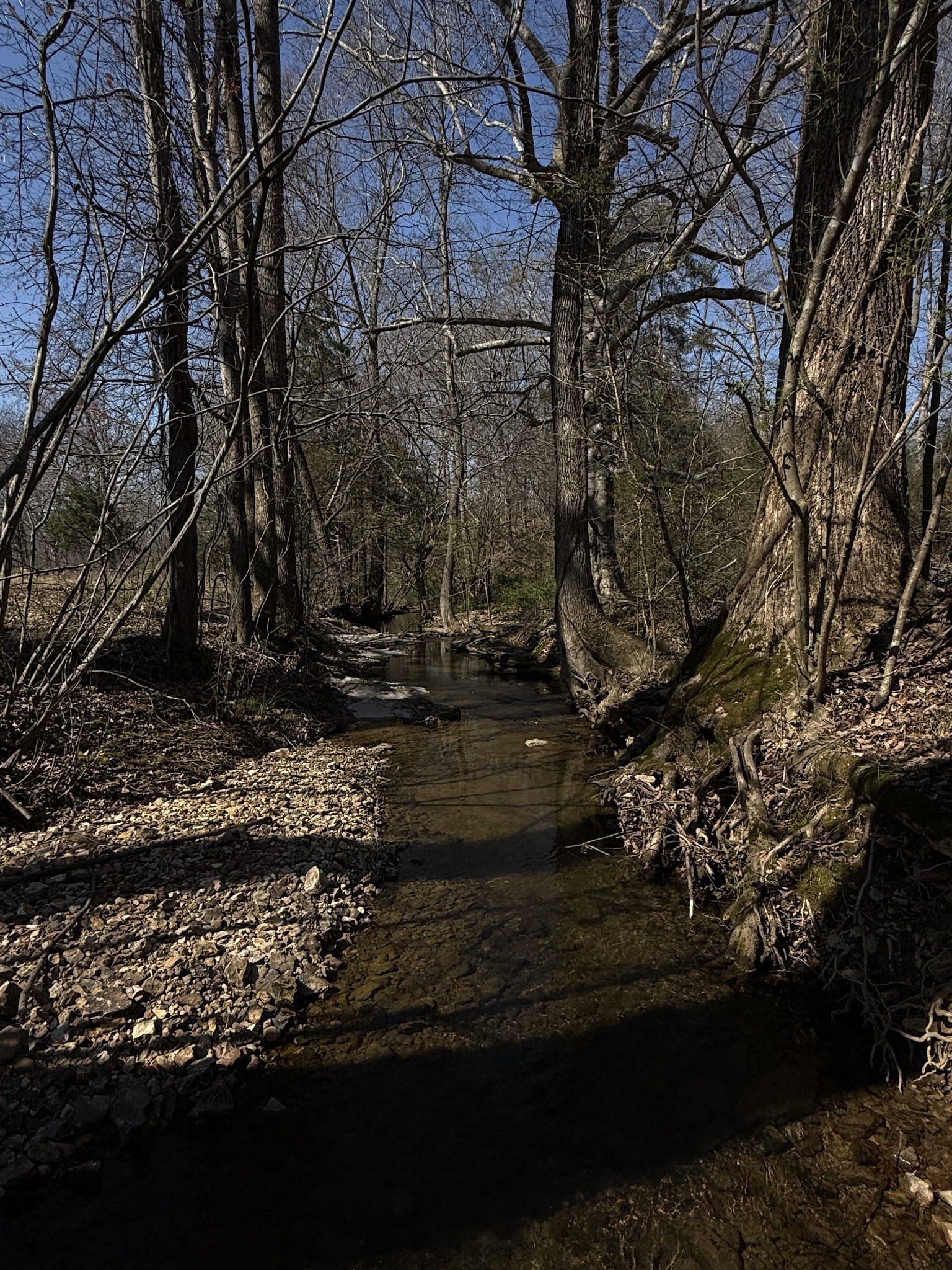 181 Ramah Road Leoma, TN 38468 - Photo 66 of 98