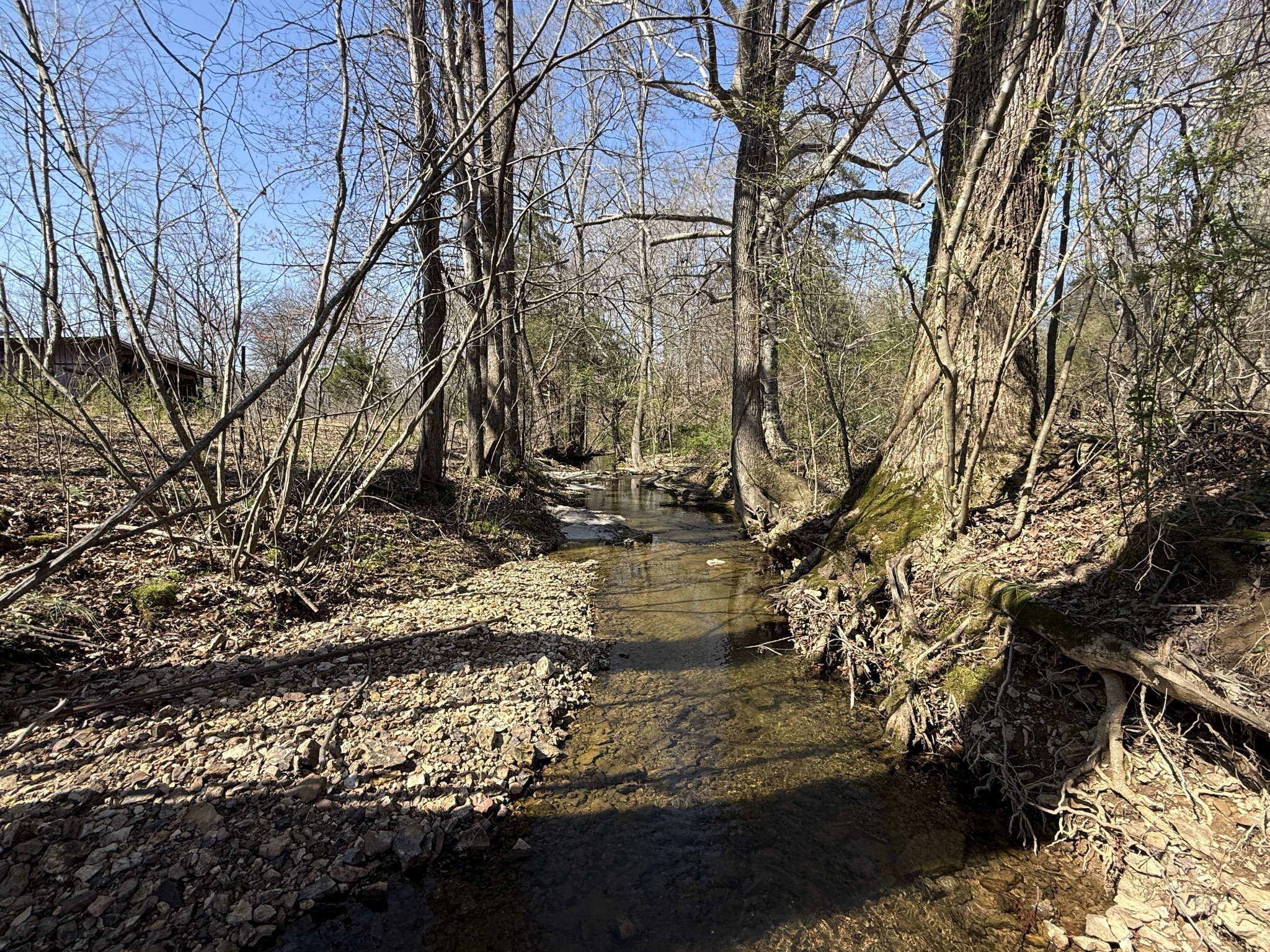 181 Ramah Road Leoma, TN 38468 - Photo 67 of 98