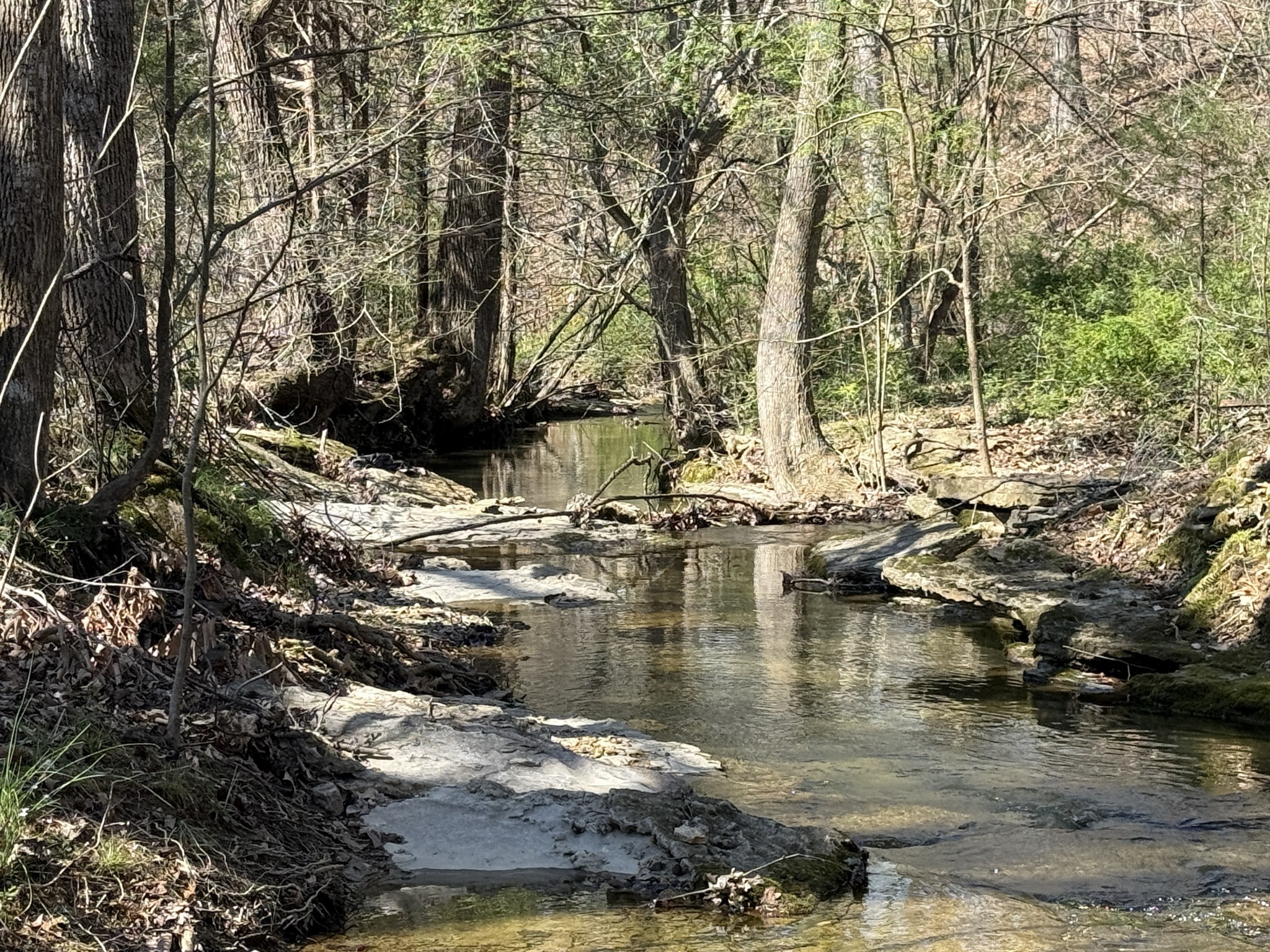 181 Ramah Road Leoma, TN 38468 - Photo 68 of 98