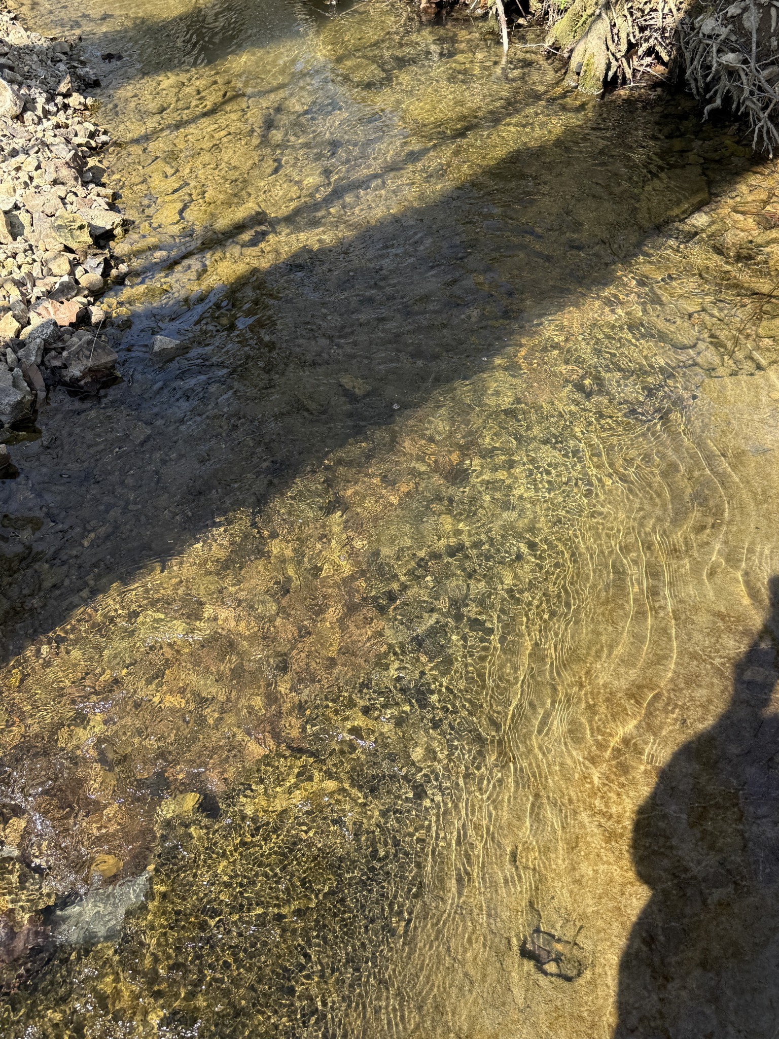 181 Ramah Road Leoma, TN 38468 - Photo 69 of 98