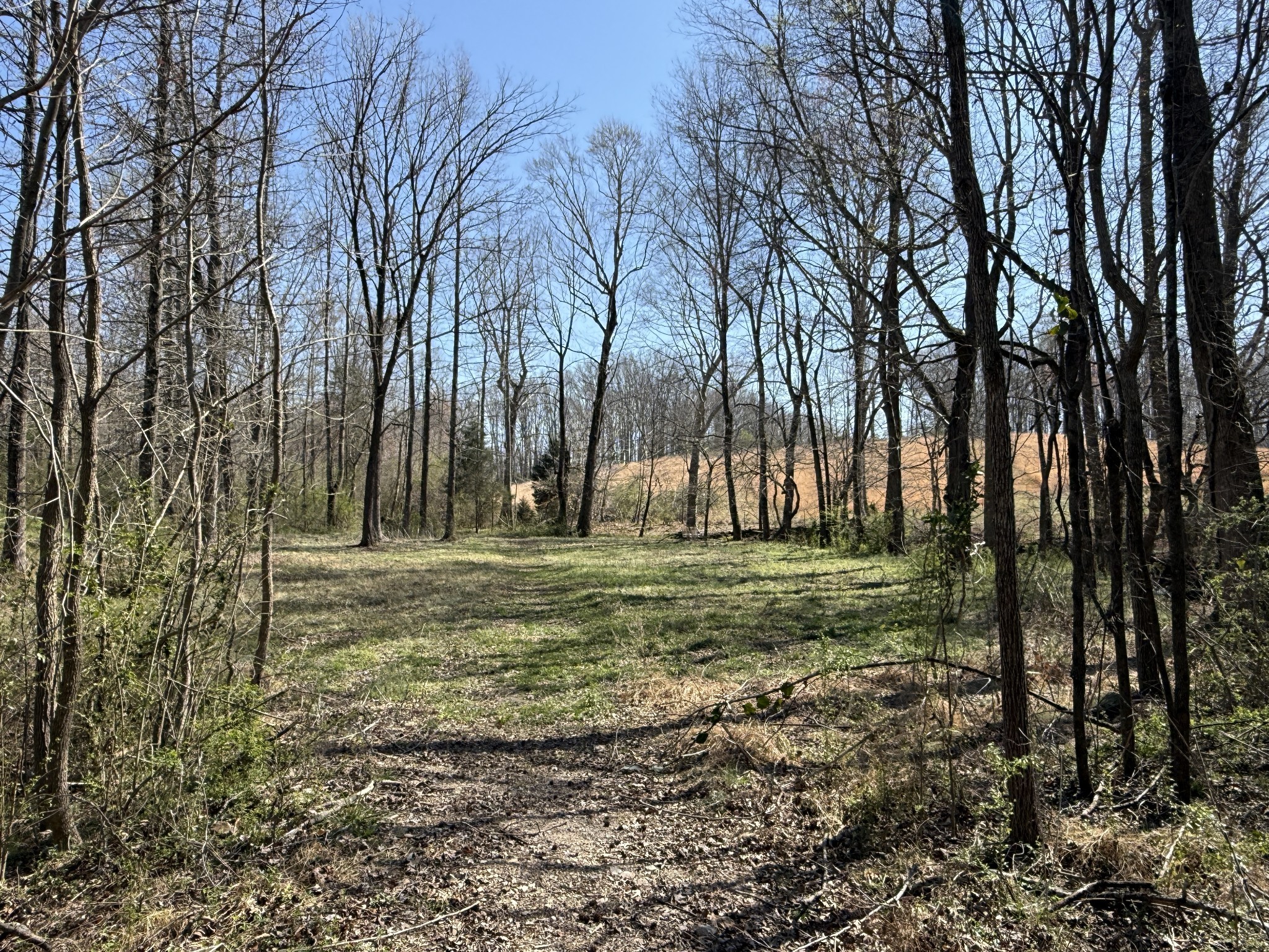 181 Ramah Road Leoma, TN 38468 - Photo 70 of 98