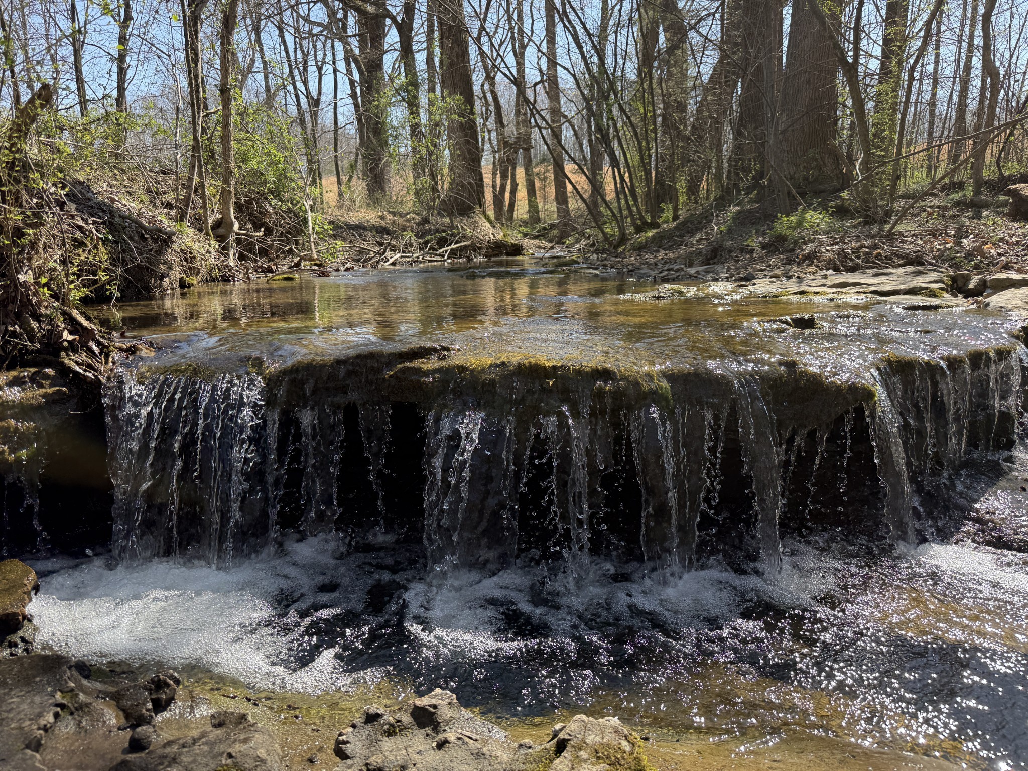 181 Ramah Road Leoma, TN 38468 - Photo 7 of 98