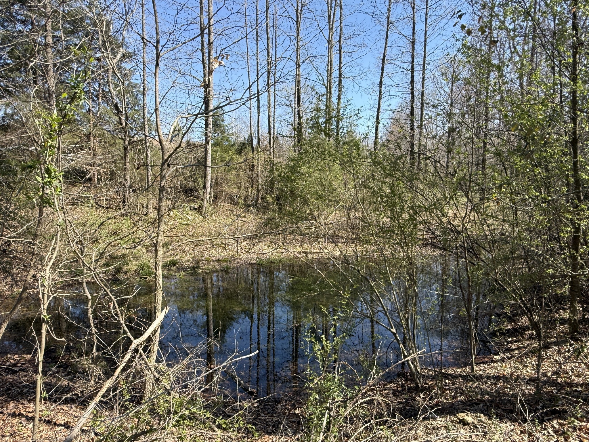 181 Ramah Road Leoma, TN 38468 - Photo 71 of 98