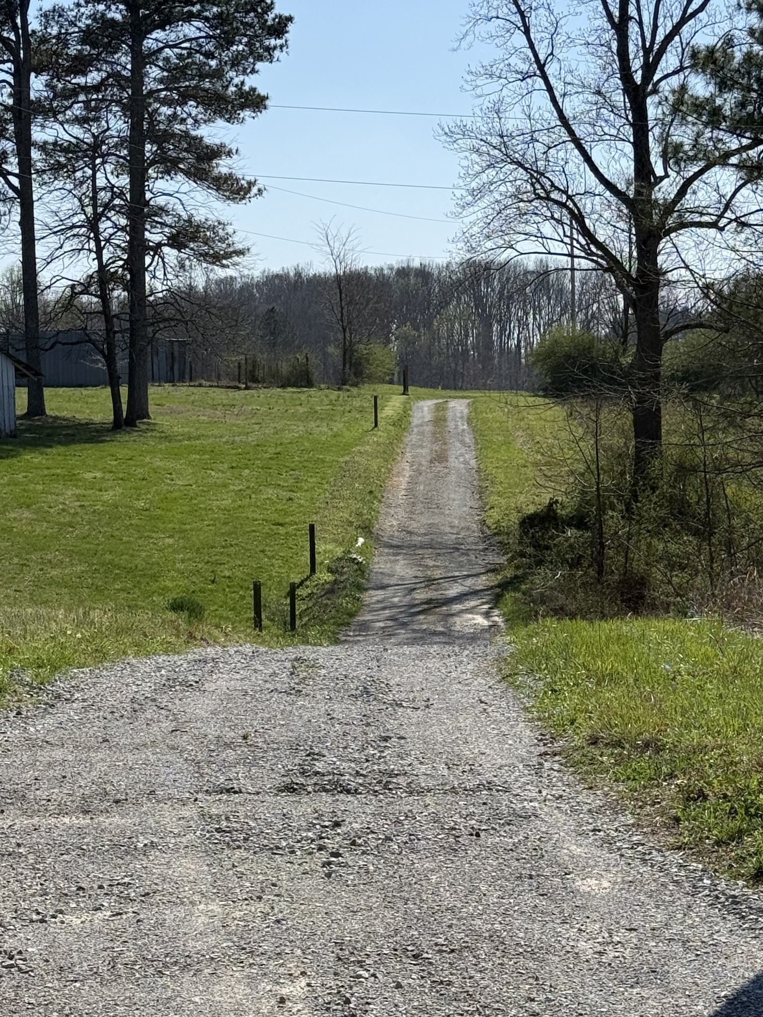 181 Ramah Road Leoma, TN 38468 - Photo 81 of 98