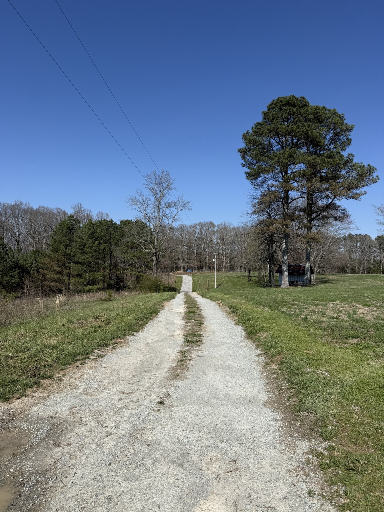 181 Ramah Road Leoma, TN 38468 - Photo 82 of 98