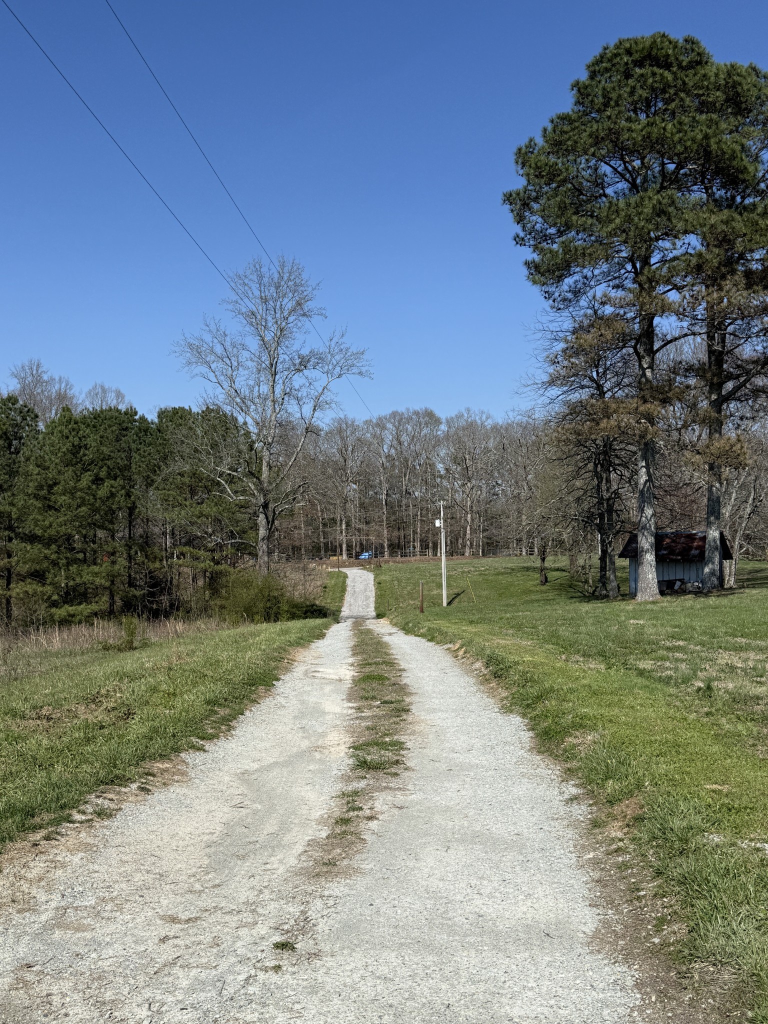 181 Ramah Road Leoma, TN 38468 - Photo 83 of 98