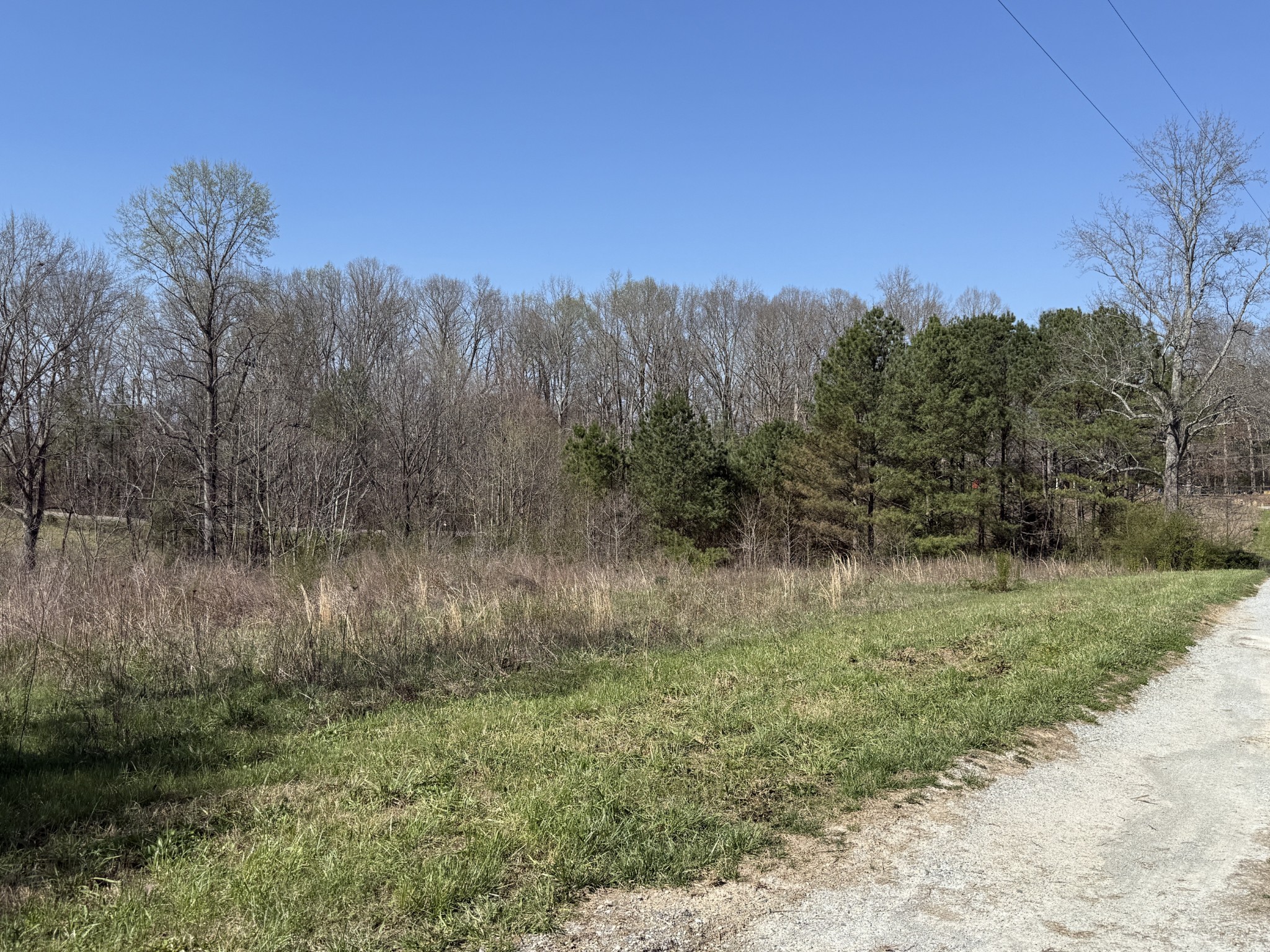 181 Ramah Road Leoma, TN 38468 - Photo 84 of 98