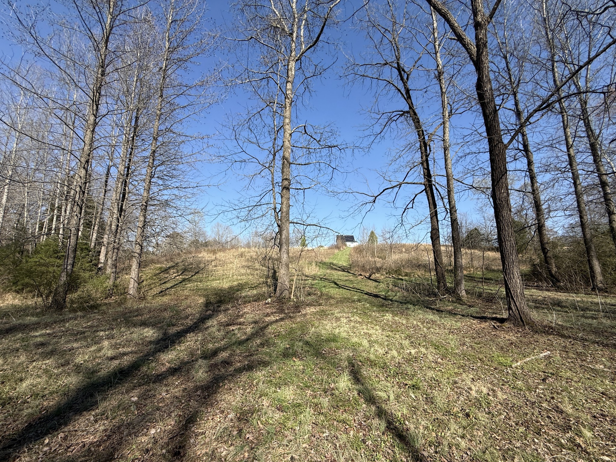 181 Ramah Road Leoma, TN 38468 - Photo 85 of 98