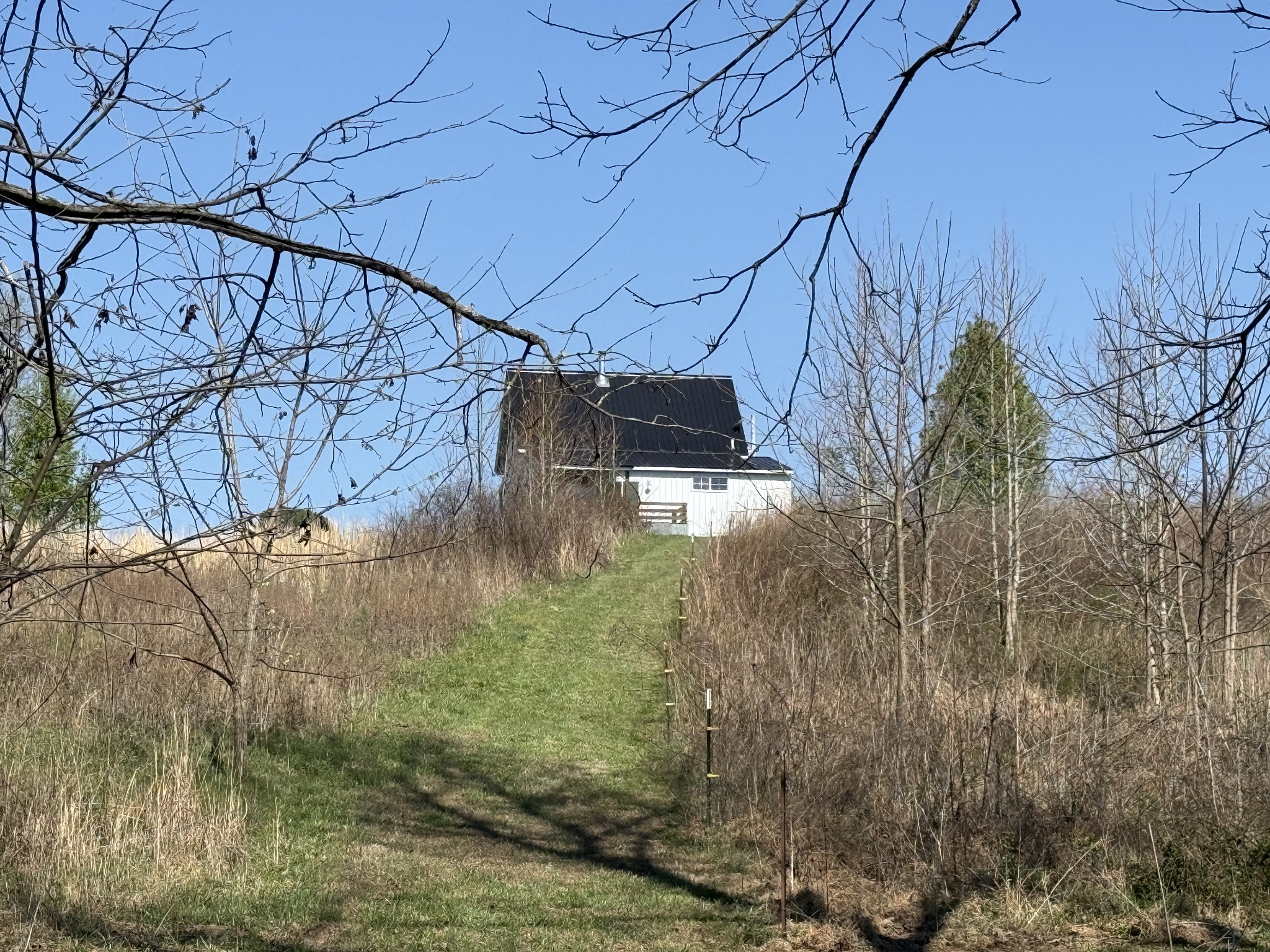 181 Ramah Road Leoma, TN 38468 - Photo 86 of 98