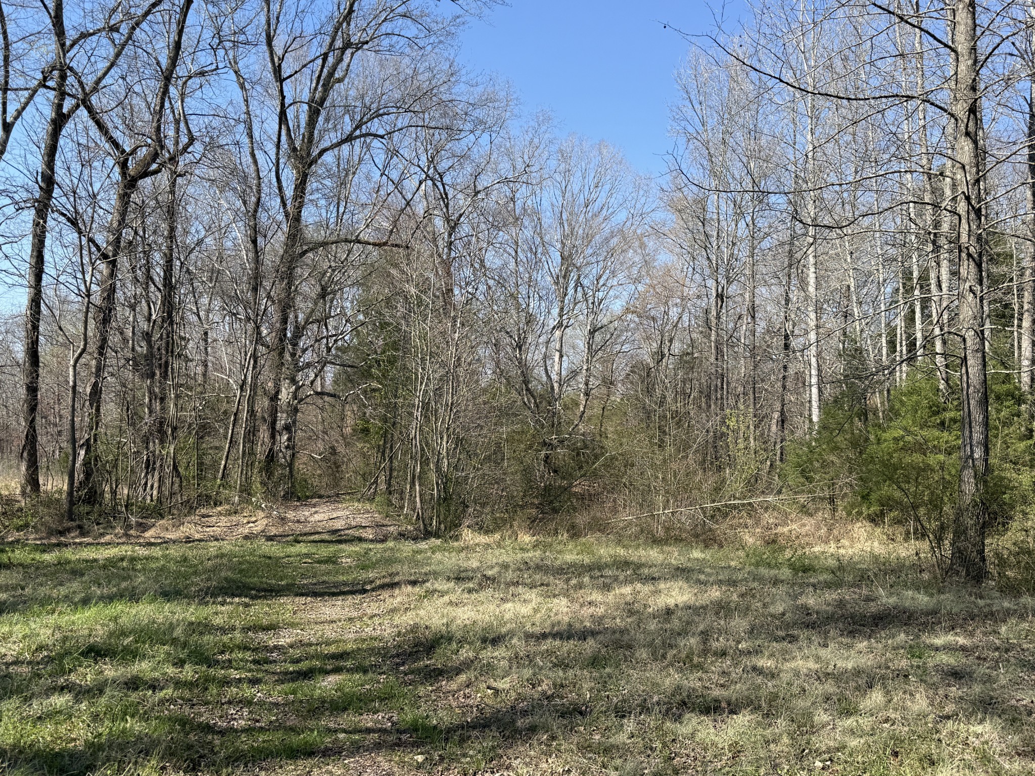 181 Ramah Road Leoma, TN 38468 - Photo 87 of 98