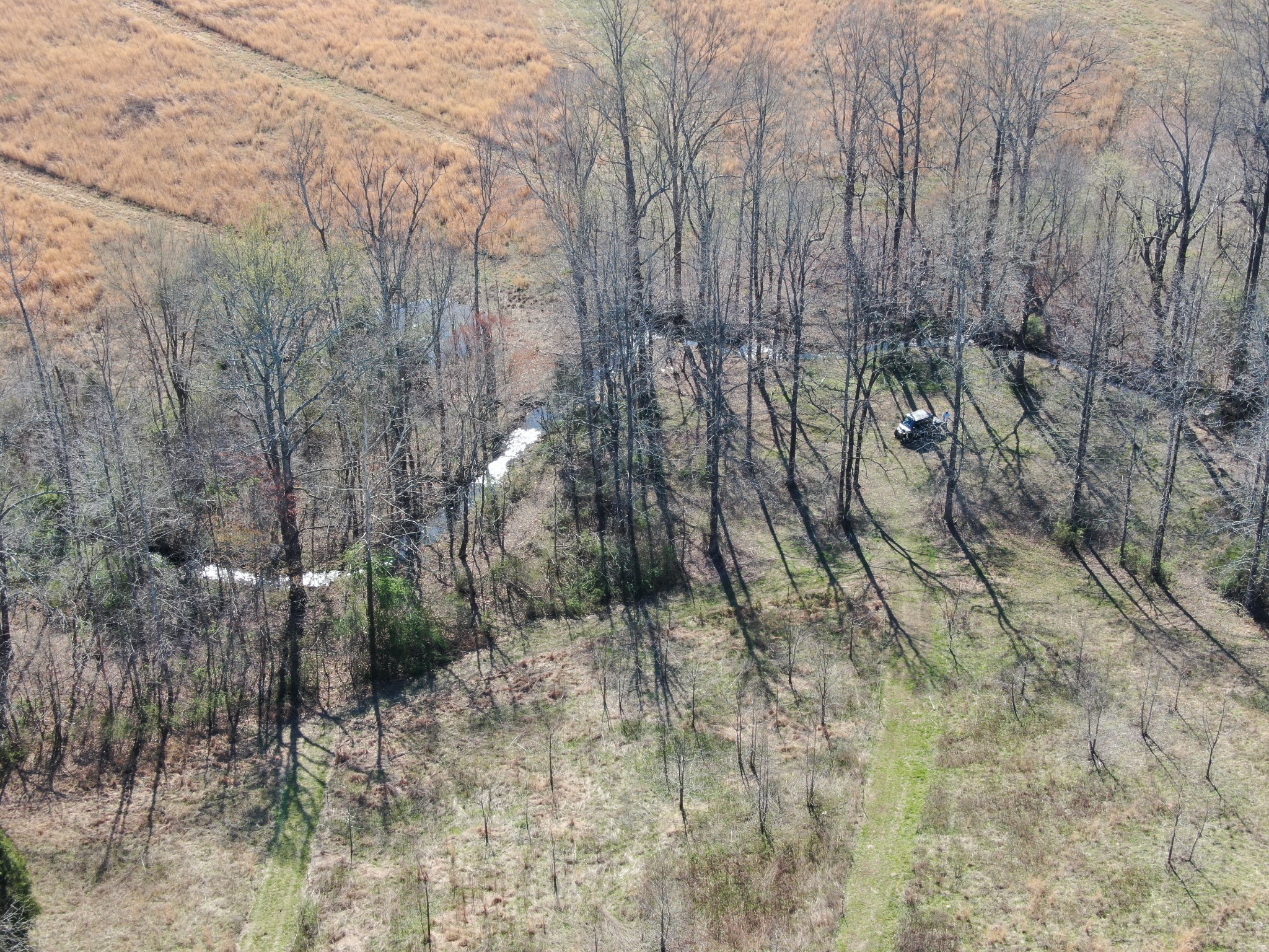 181 Ramah Road Leoma, TN 38468 - Photo 97 of 98