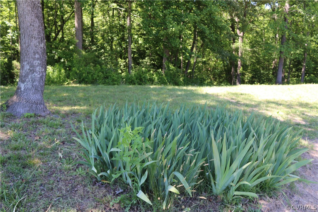 1375 Lewis Level Road Tappahannock, VA 22560 - Photo 37 of 44 Gallery Image 37